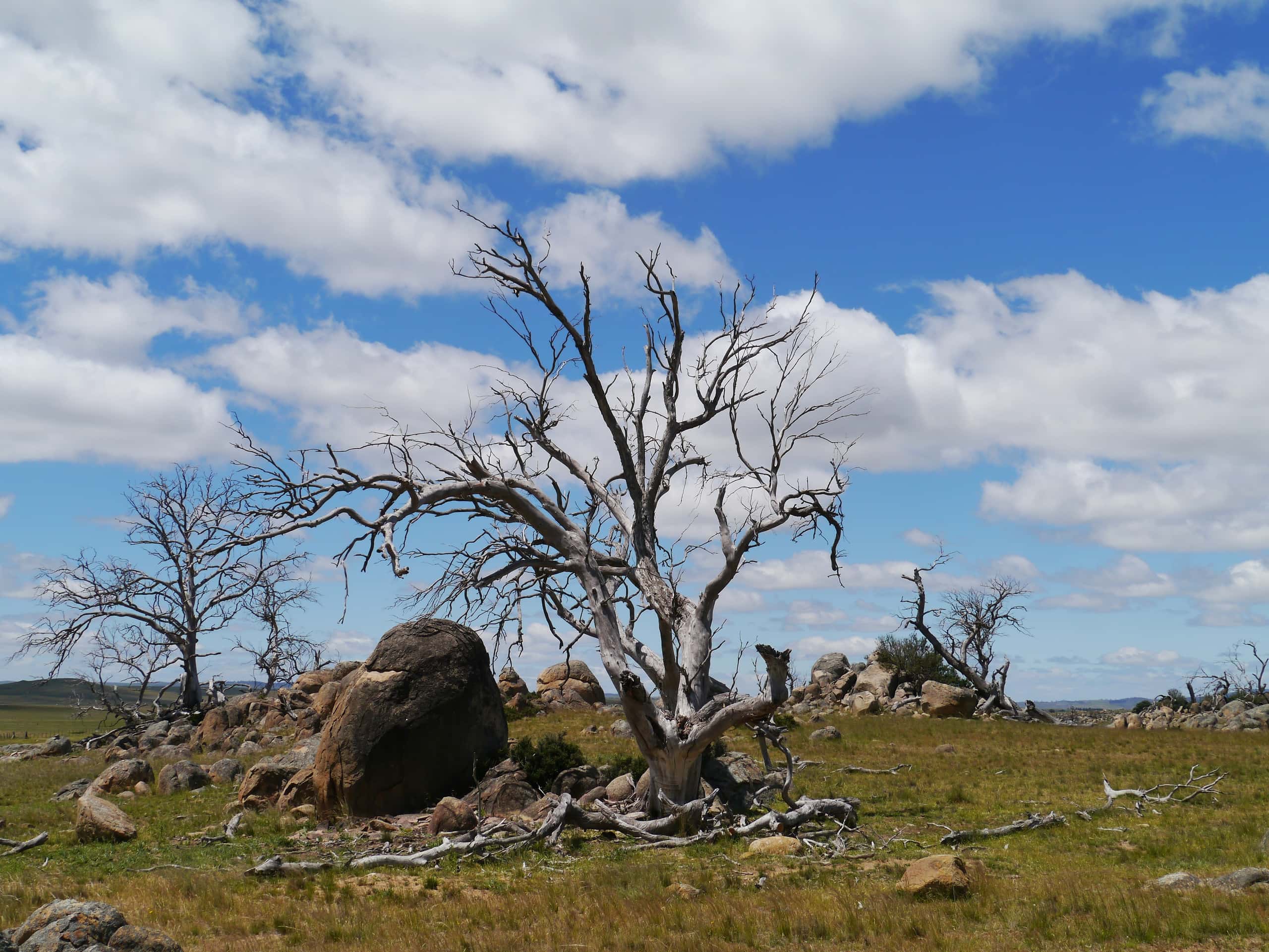 Cheap flights from Sydney to Cooma from 