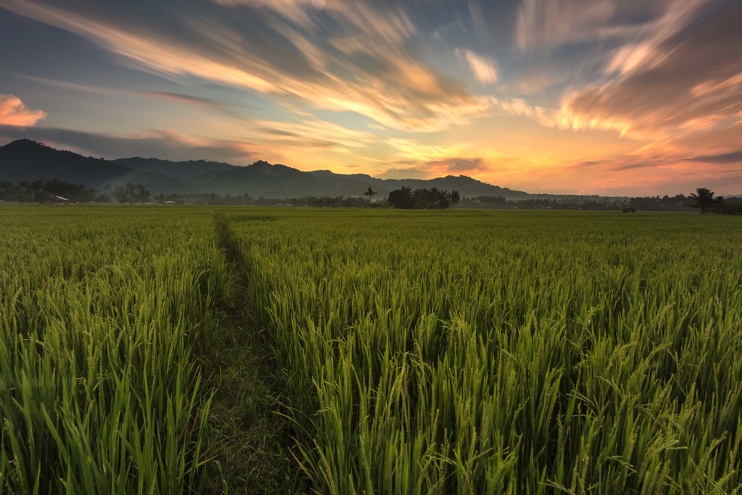 رحلات طيران رخيصة من الرياض إلى كوتاباتو سيتي بأسعار تبدأ من 1,298 SR