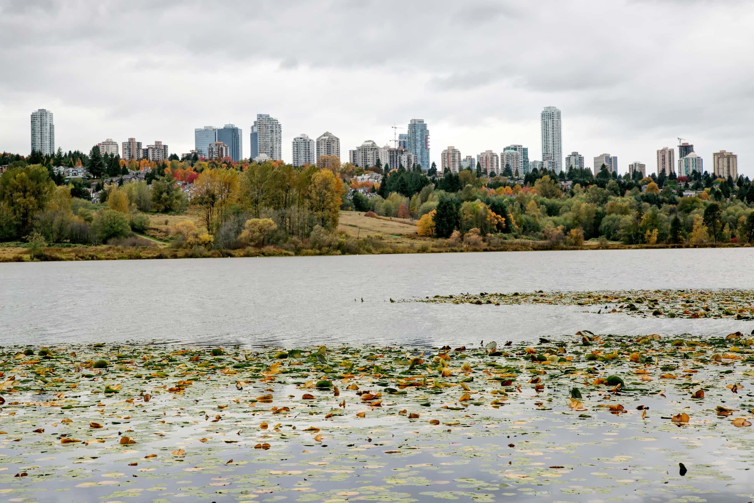 Cheap flights From Copenhagen to Deer Lake from £339