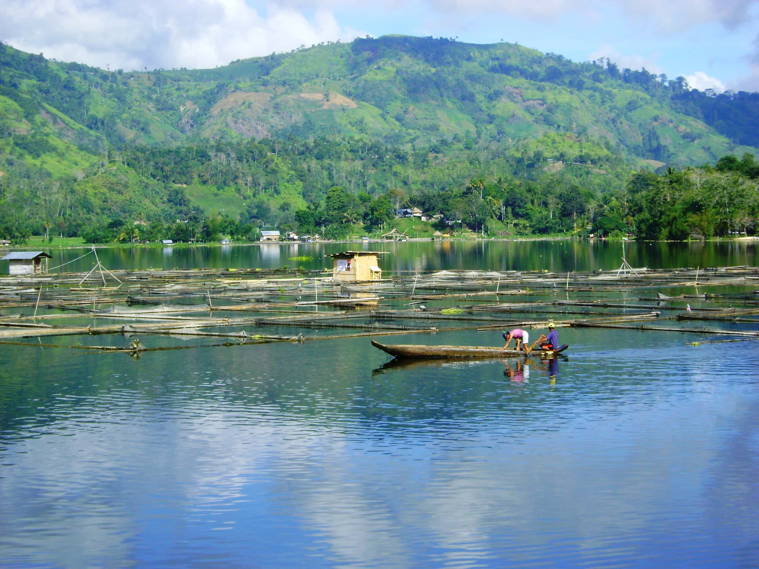 Voli economici da Dumaguete a Del Carmen a partire da 79 €