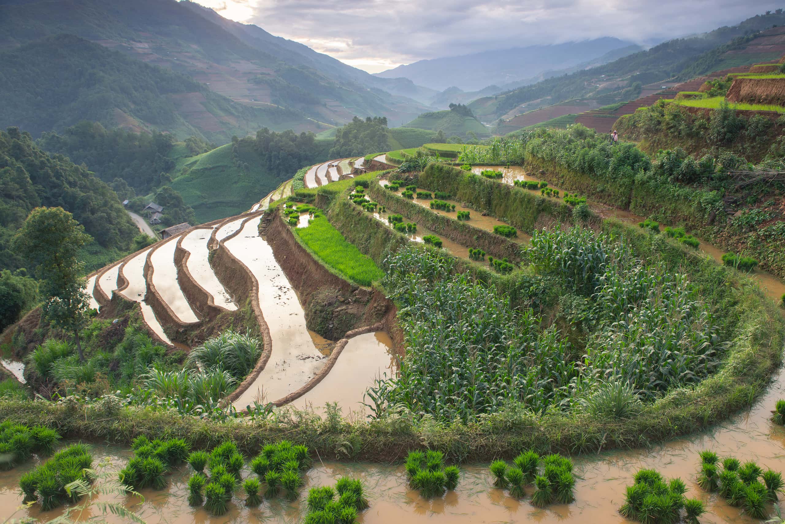 Billige flybilletter from Hanoi to Điện Biên Phủ fra 478 kr