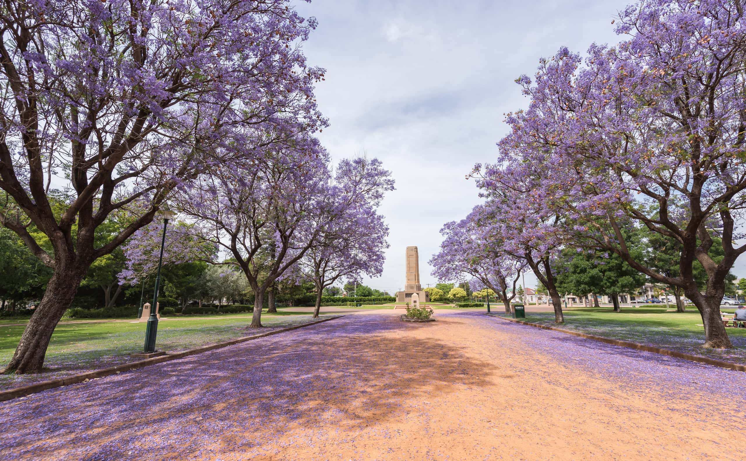 Vols pas chers depuis Perth vers Dubbo à partir de CA$559