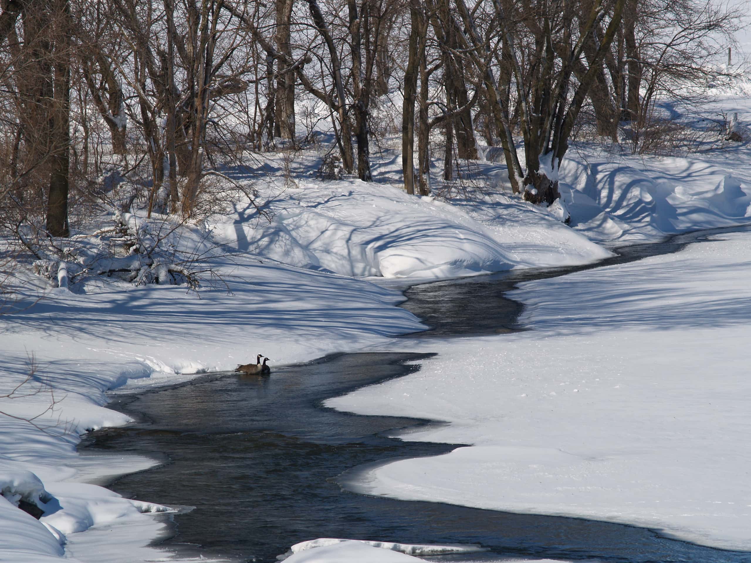 Cheap flights from Minneapolis to Fort Dodge from 