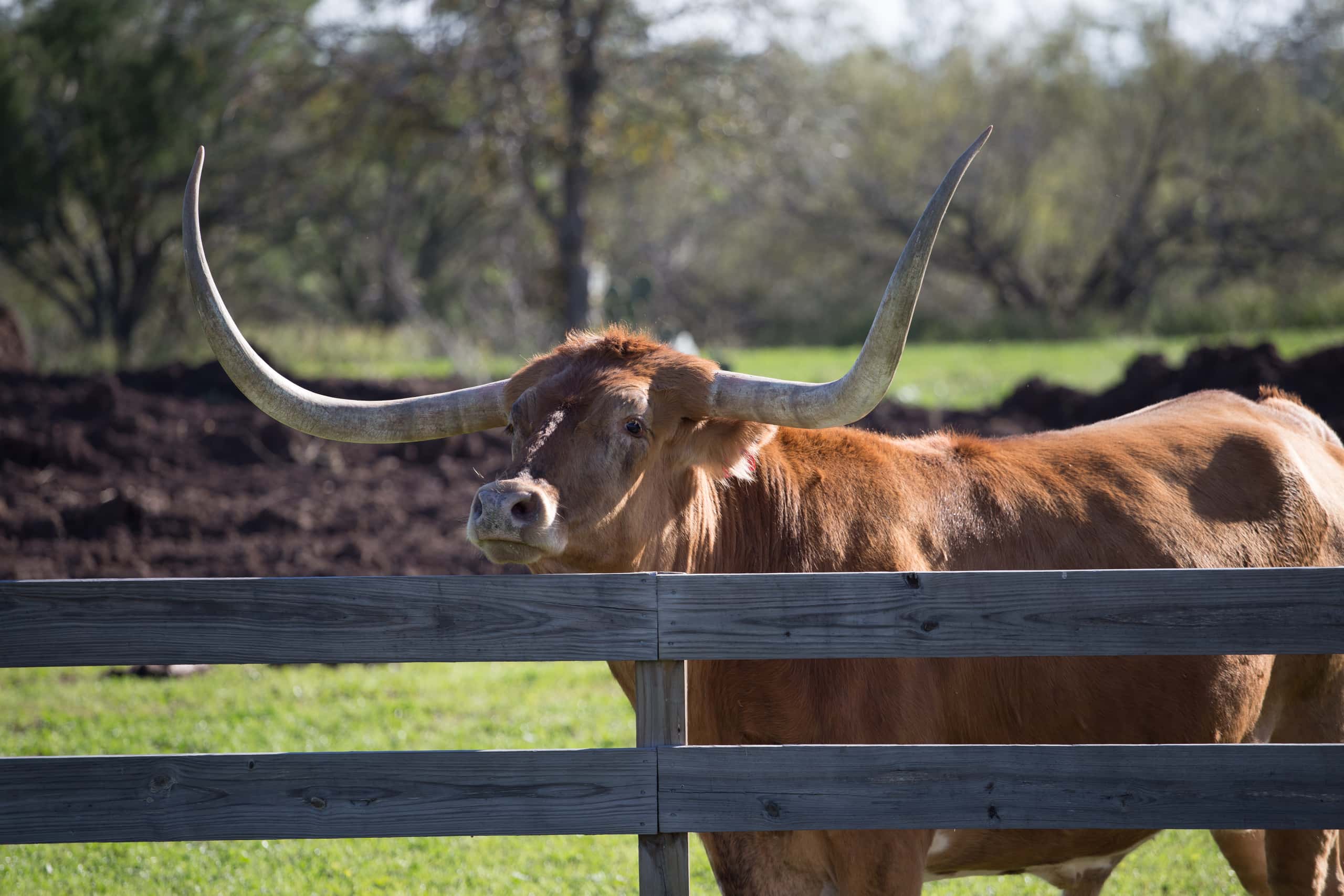 Cheap flights from Bucharest to Fort Smith from 