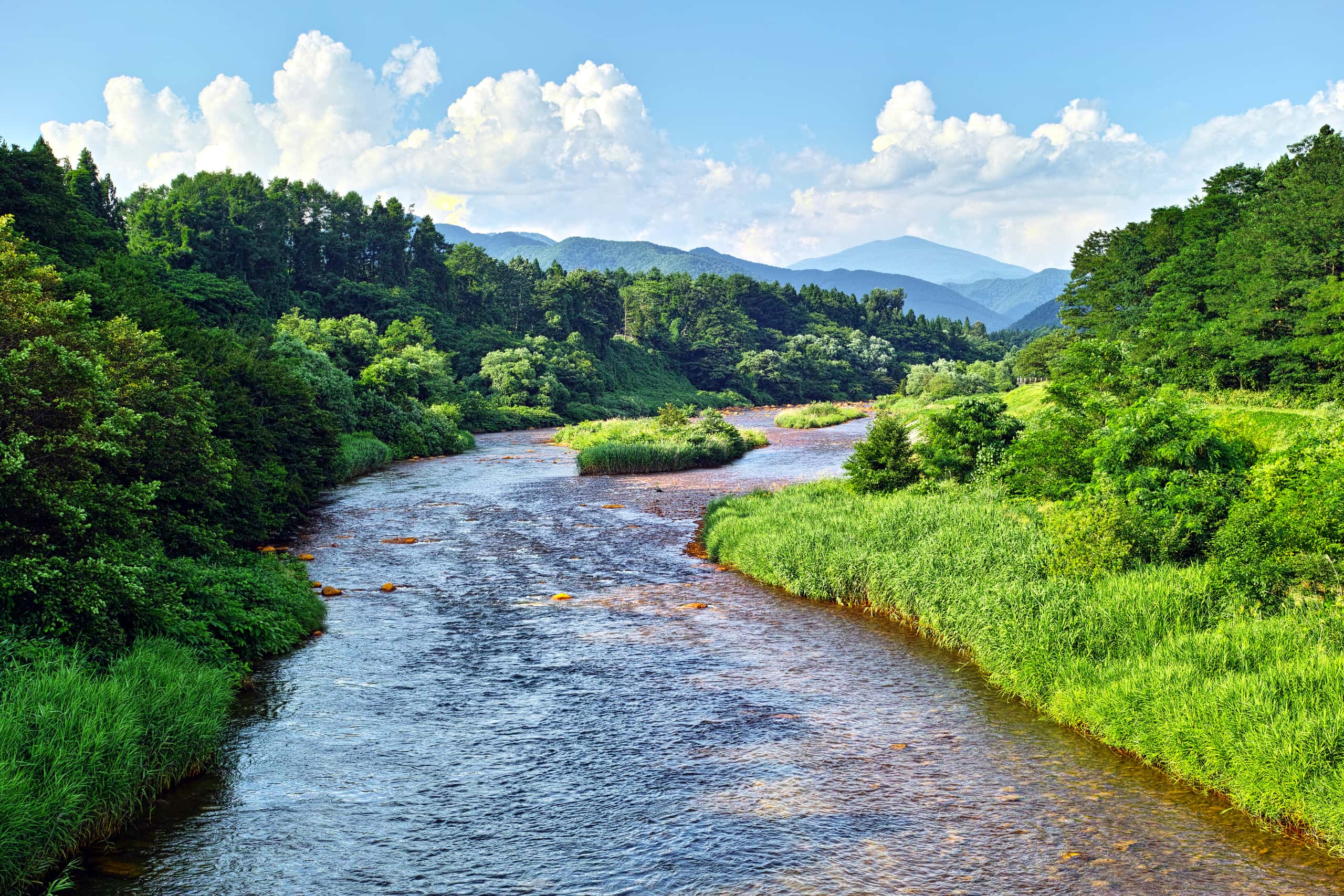仙台発福島行きの格安チケットが¥29,696～