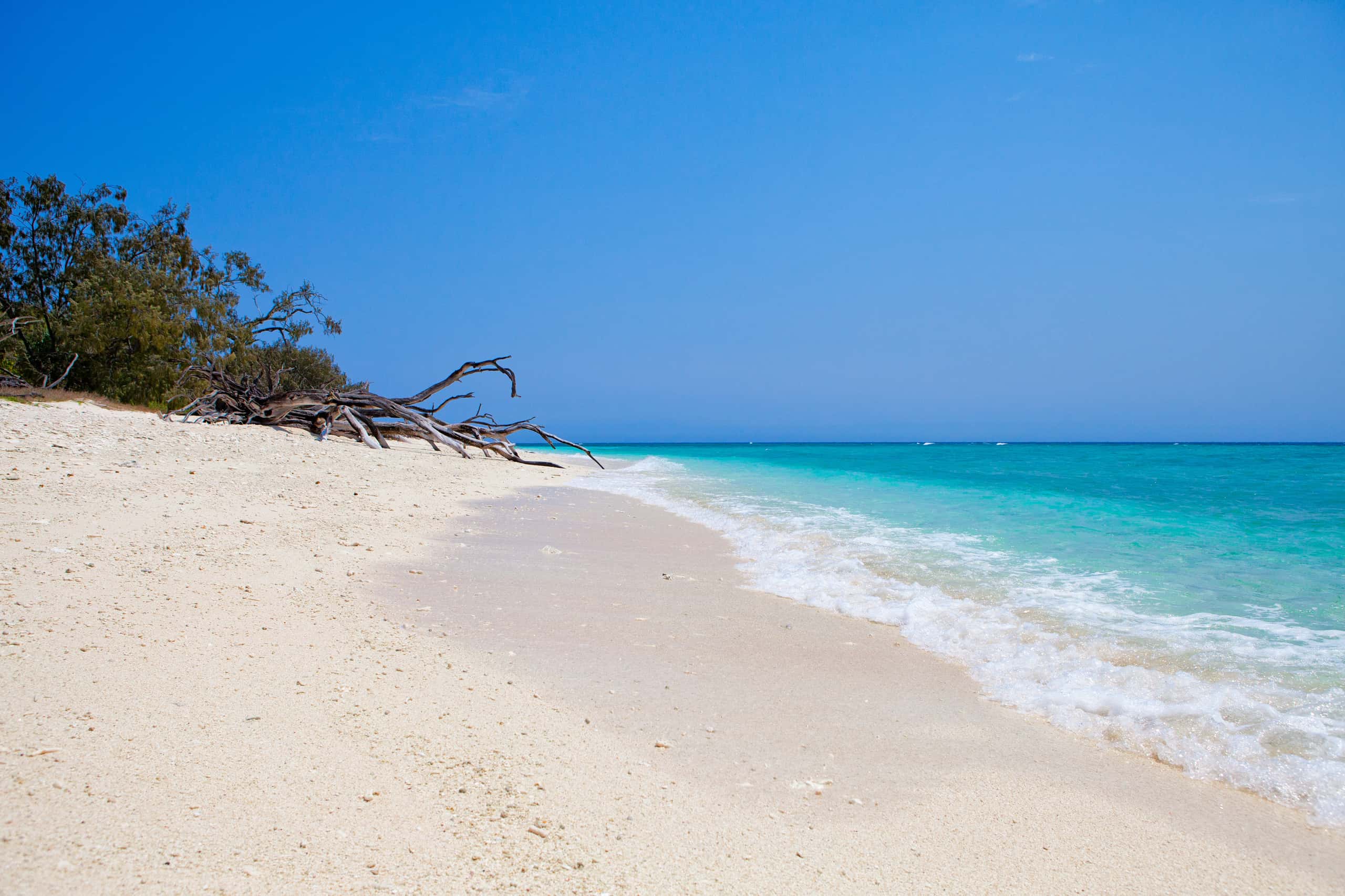 東京発グラッドストーン行きの格安チケットが¥87,269～