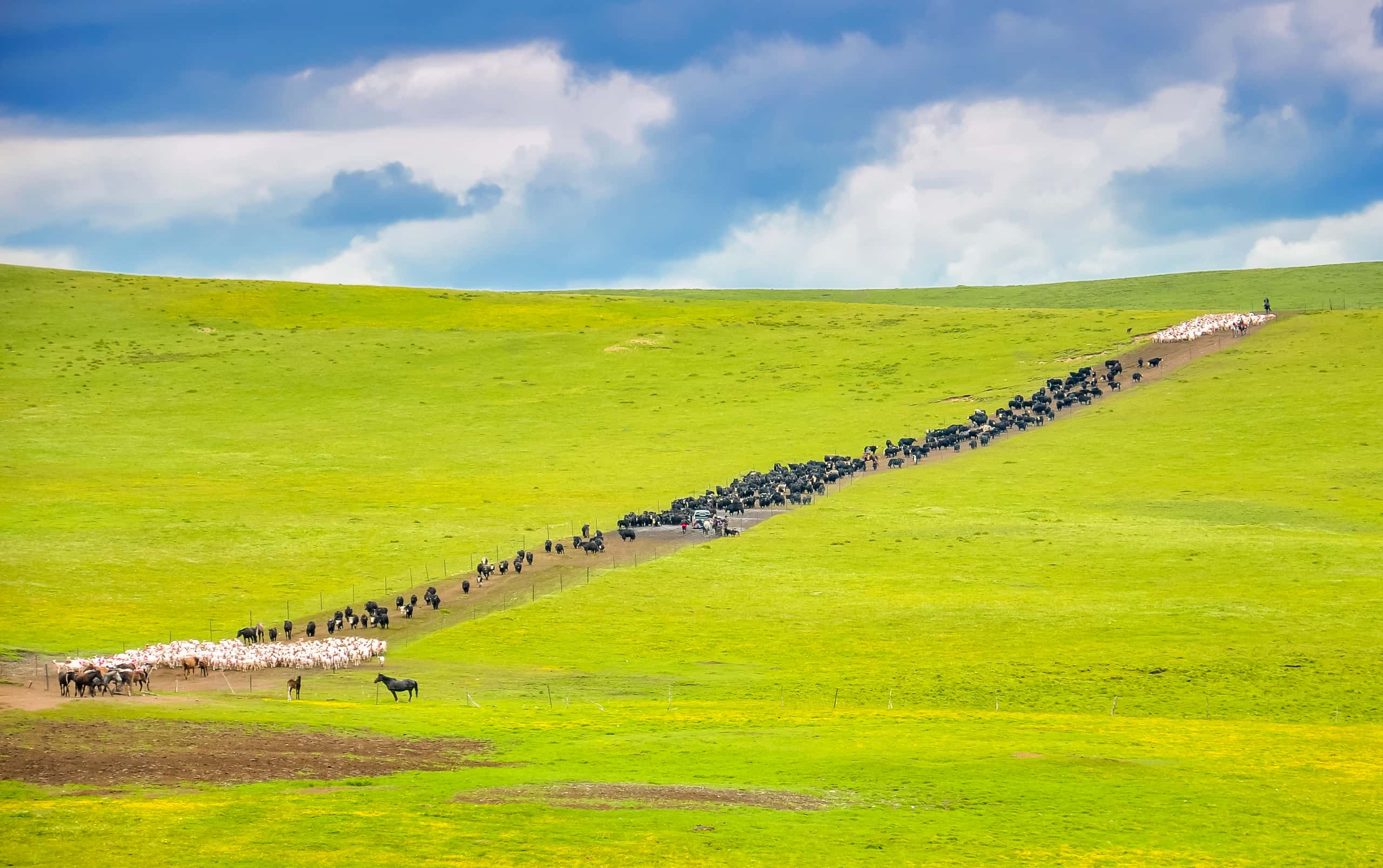 Cheap flights from Xining to Golog Tibetan Autonomous Prefecture from 