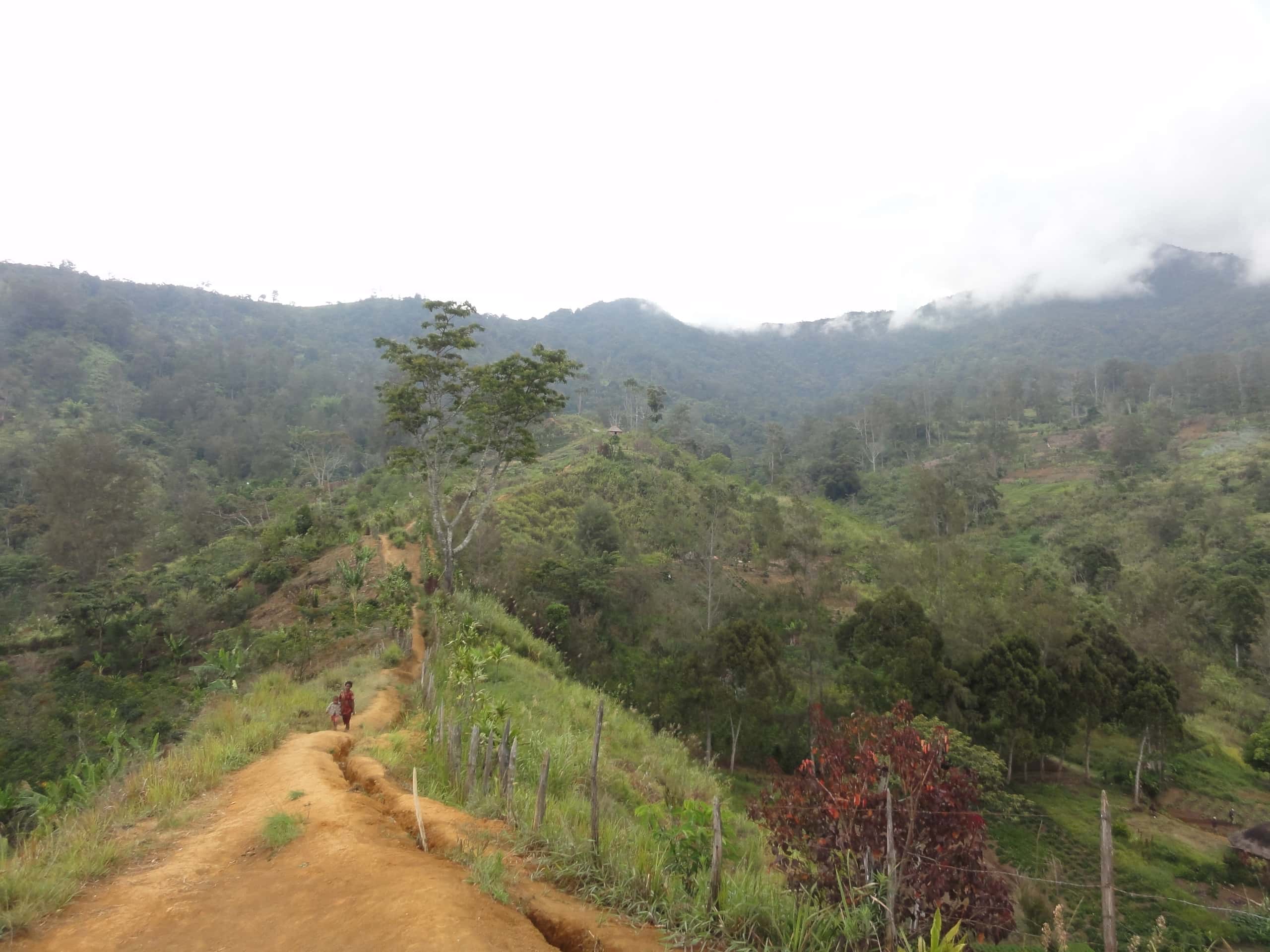 東京発ゴロカ行きの格安チケットが¥85,818～