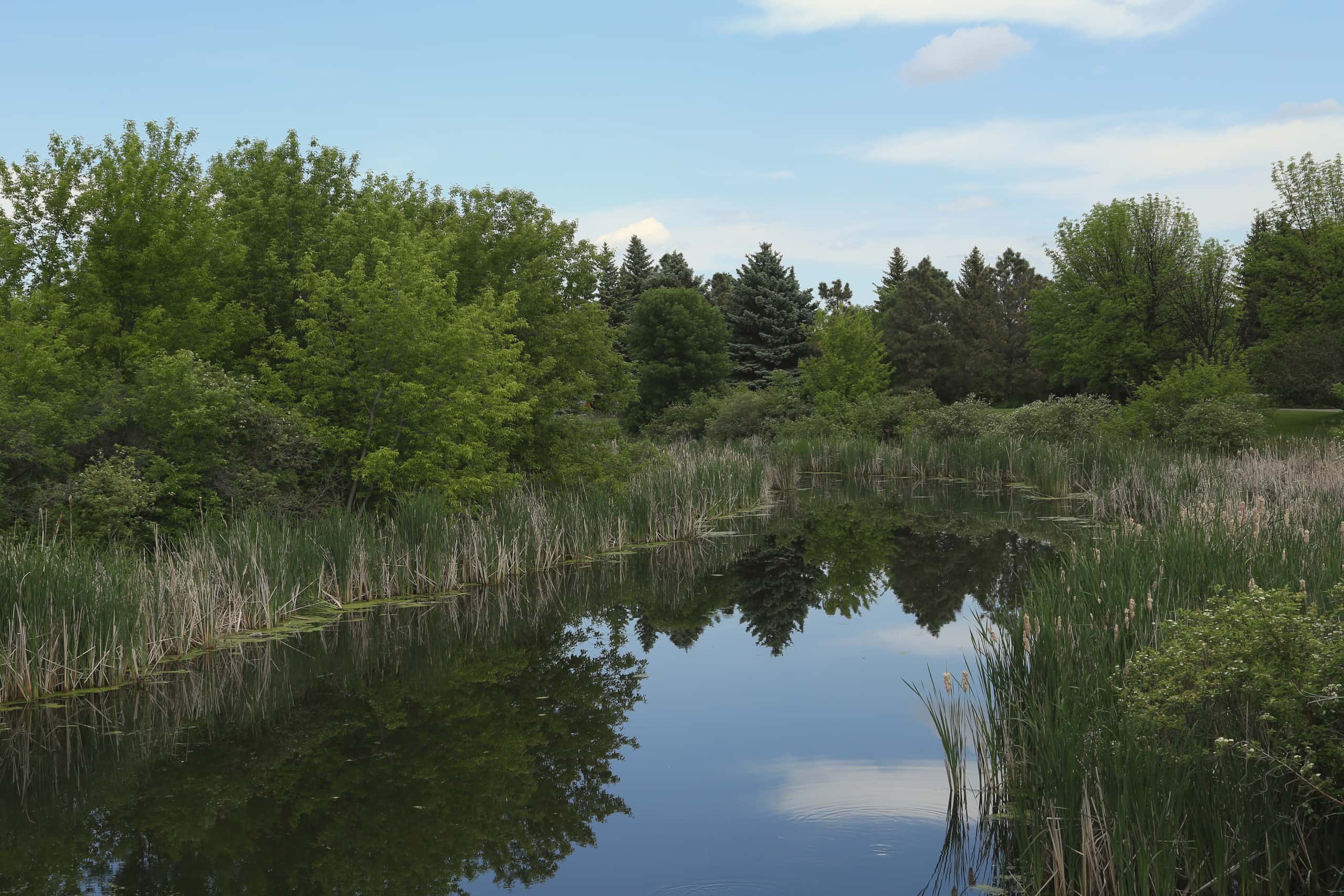 Евтини полети от София to Grand Forks на цени от 510 €