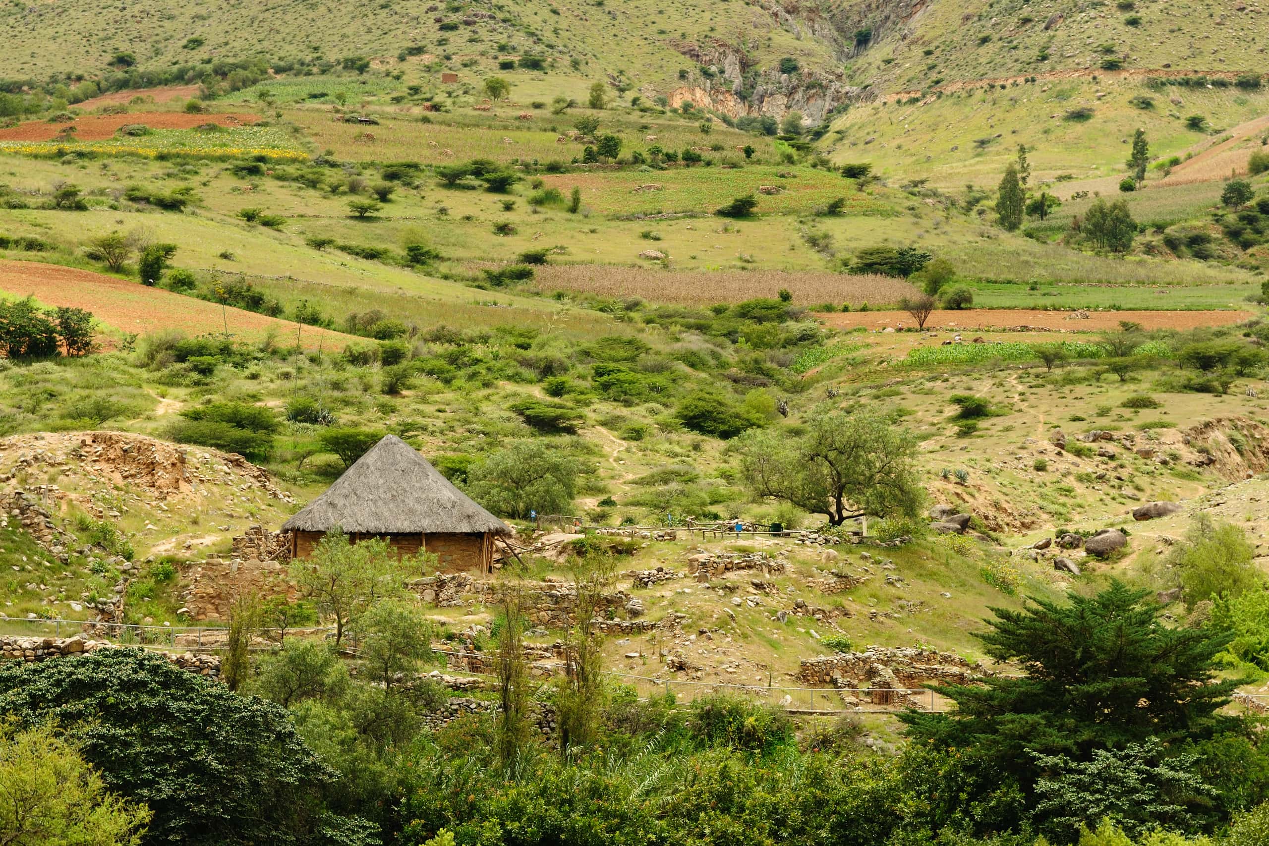 Vuelos baratos de Lima a Huánuco a partir de $70,047