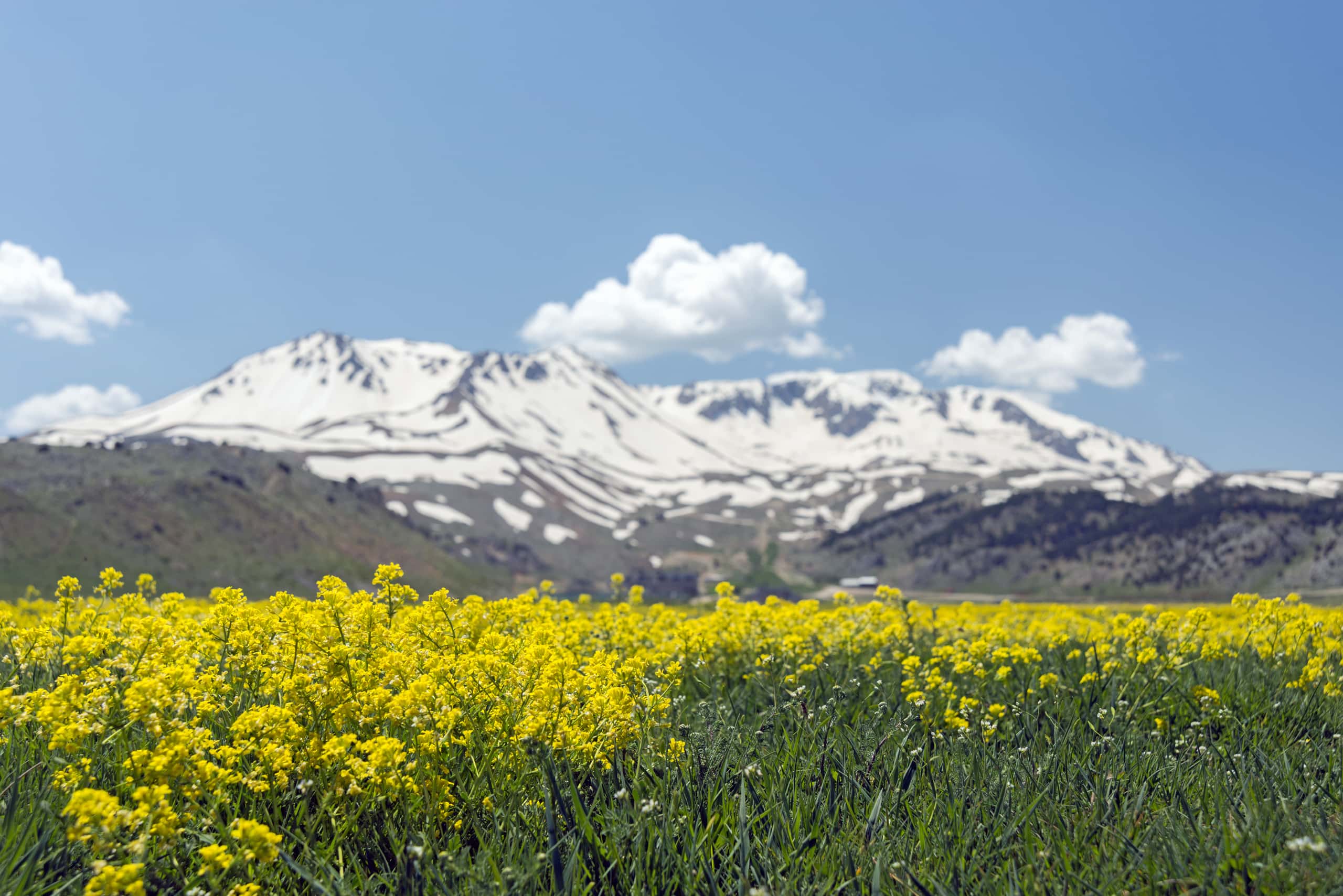 이스탄불 출발 이스파르타 도착 최저가 항공권 ¥5,465부터