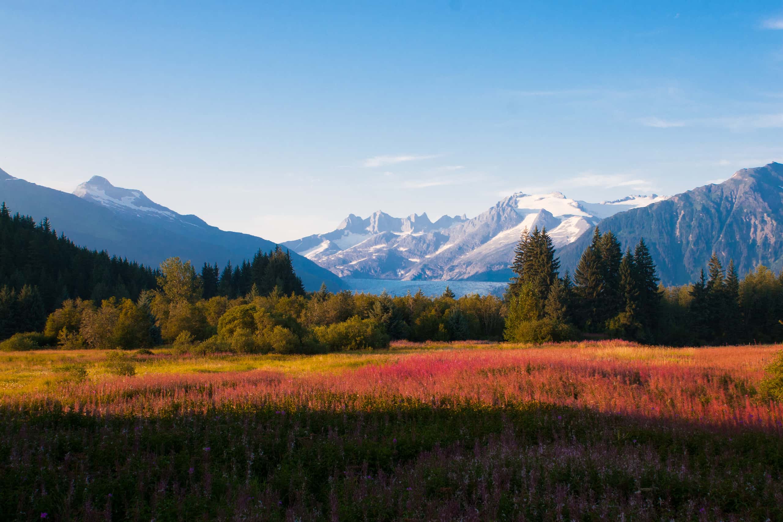 İstanbul’dan Juneau’ya ucuz uçak biletleri 34,379 TL başlangıç fiyatıyla