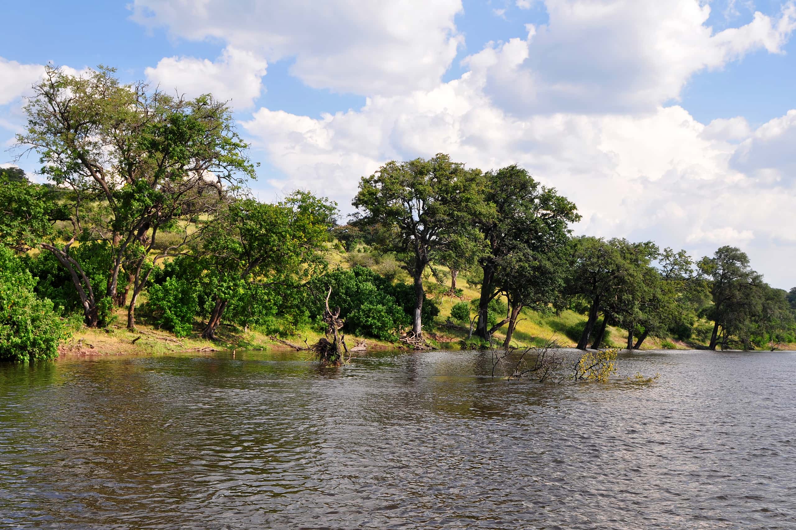 Cheap flights from Maun to Kasane from £50