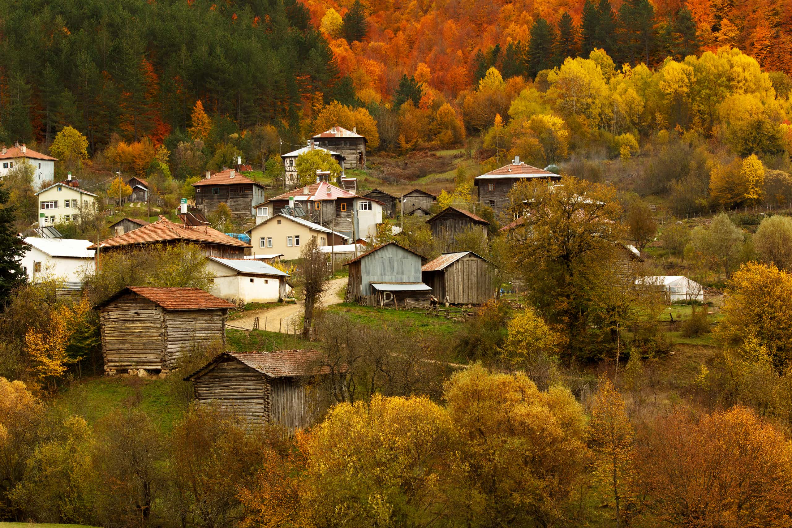 Billiga flyg från İzmir till Kastamonu från 602 kr
