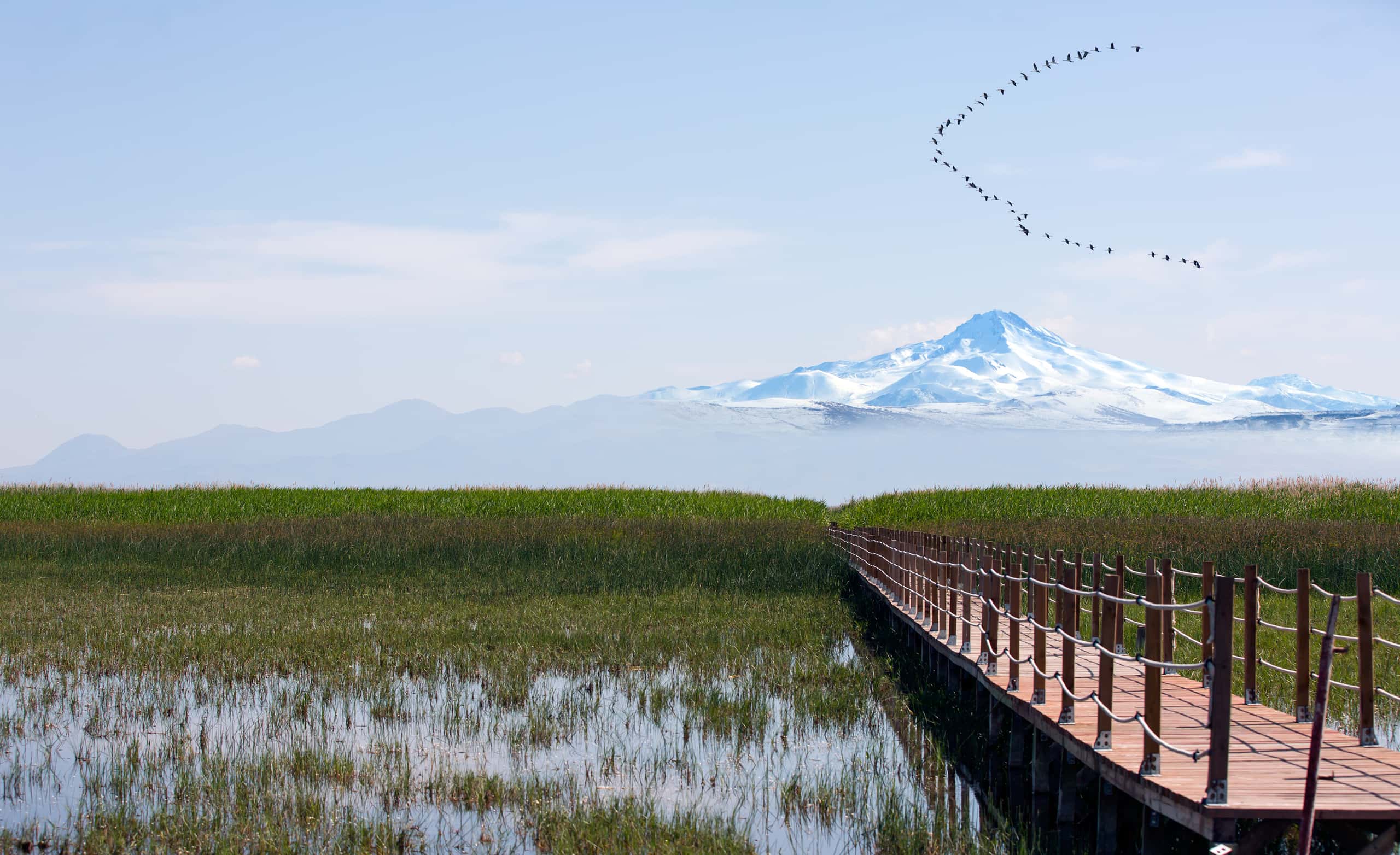 Cheap flights from Istanbul to Kayseri from £17