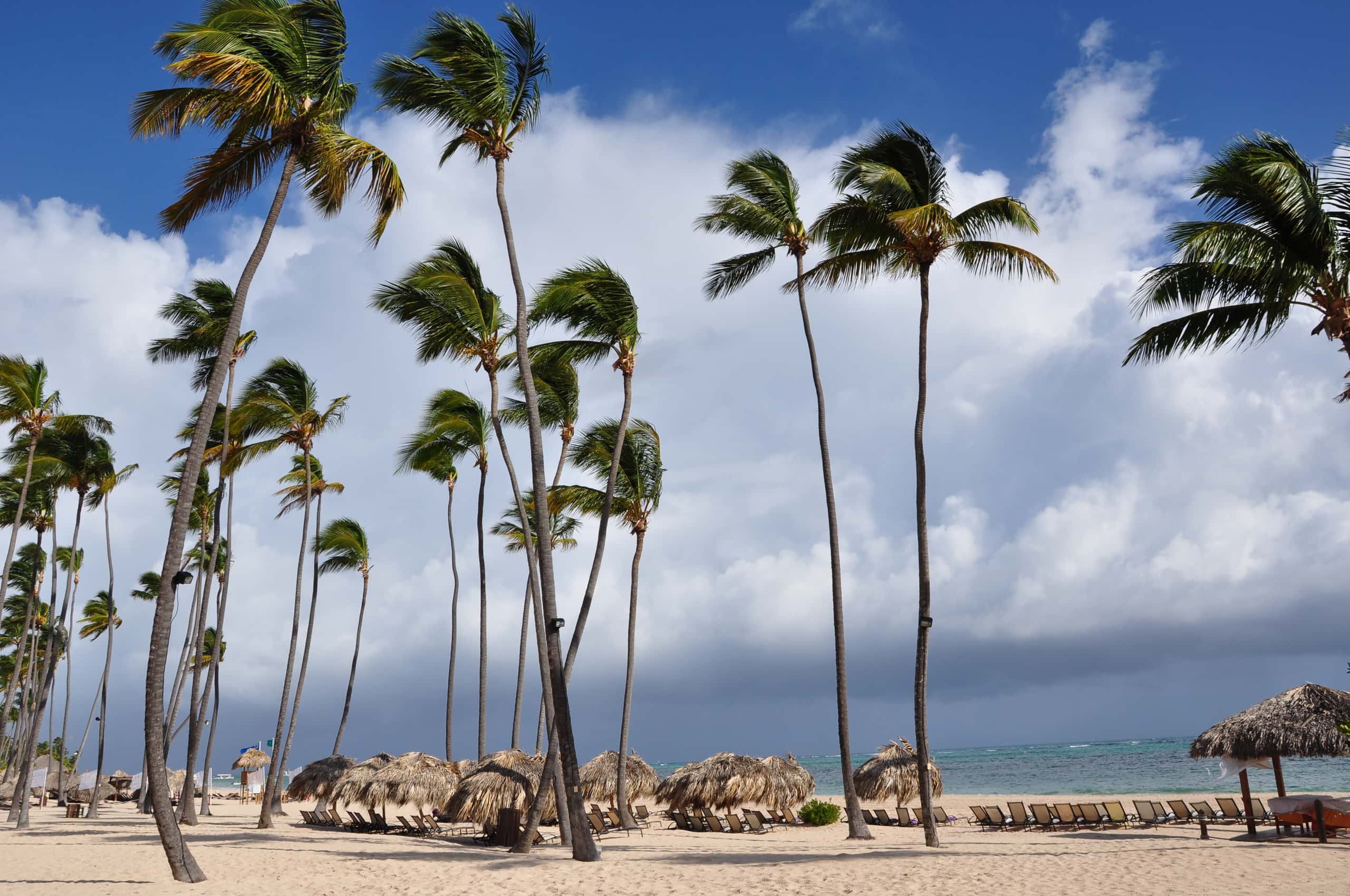 Vuelos baratos de Puerto Príncipe a Kingston a partir de $ 15,430