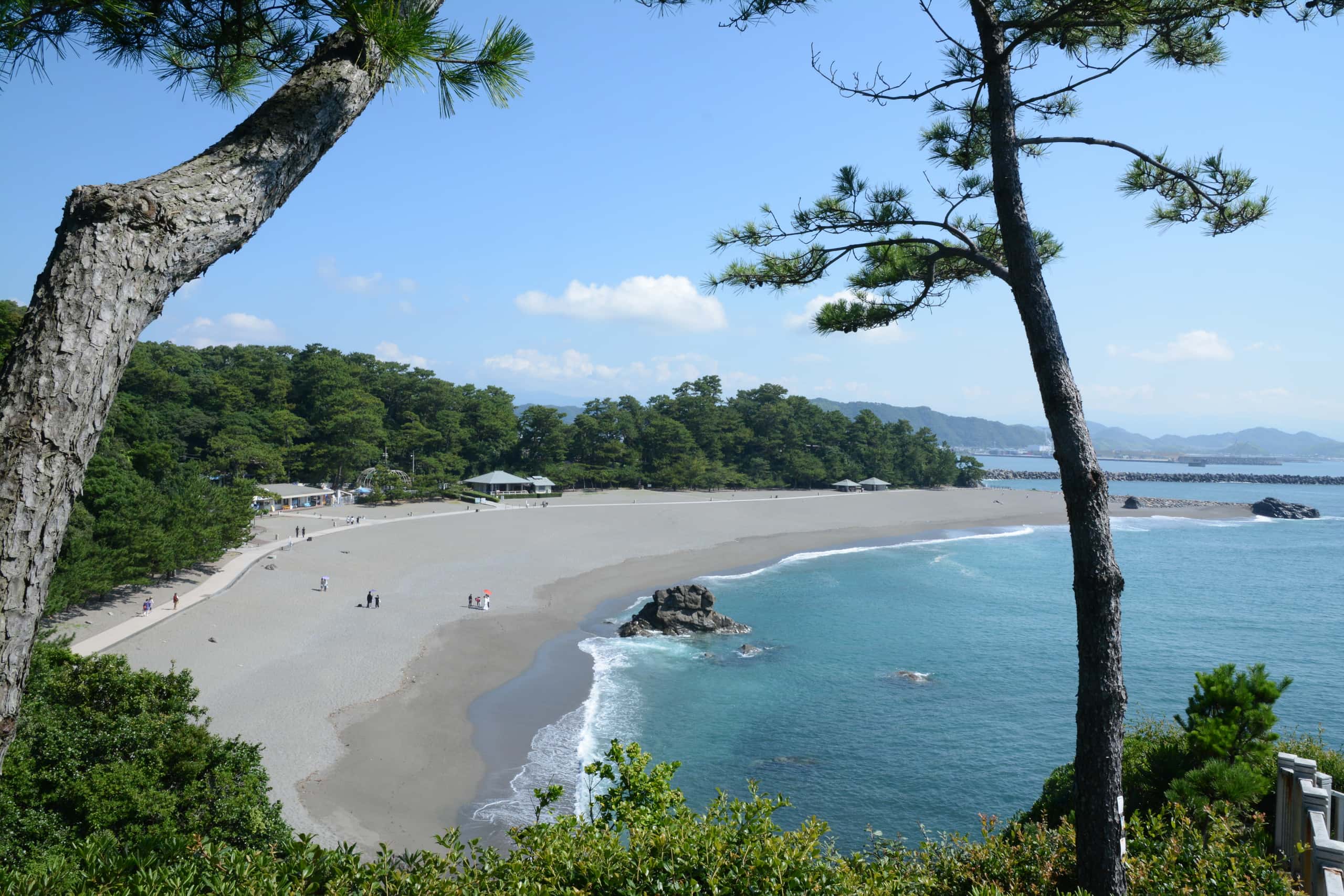 Cheap flights from Chandigarh to Kochi from £76