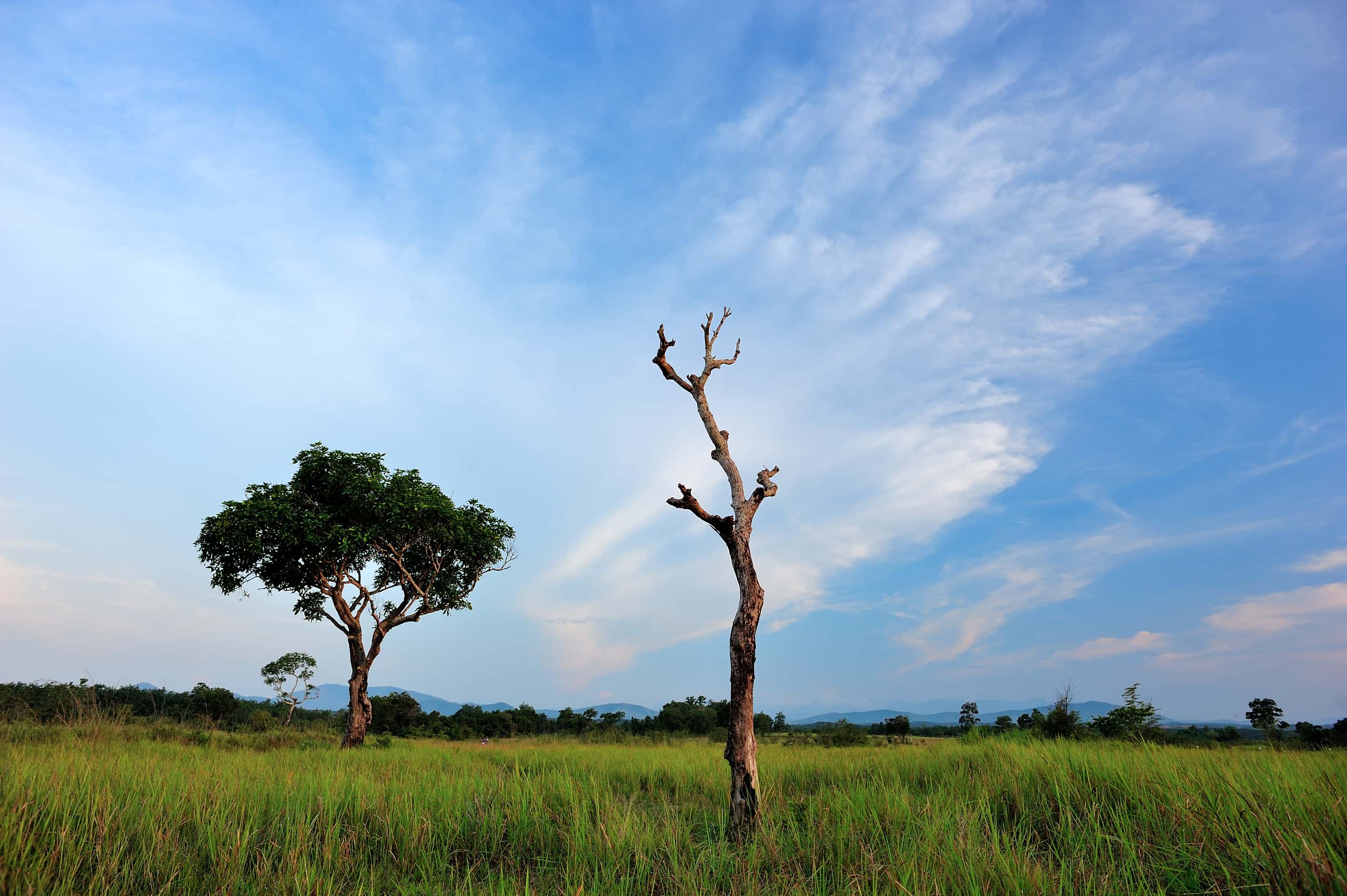 Cheap flights from Bali to Kupang from £69