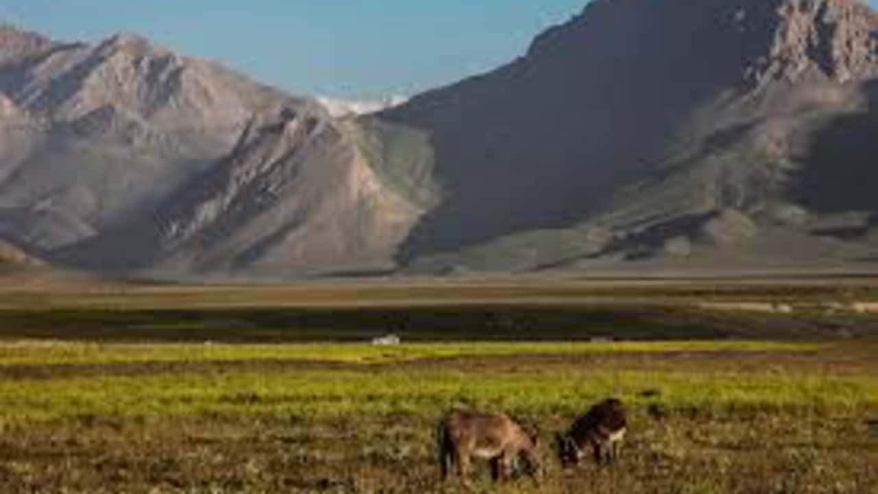 ドバイ発ラル行きの格安チケットが¥20,002～