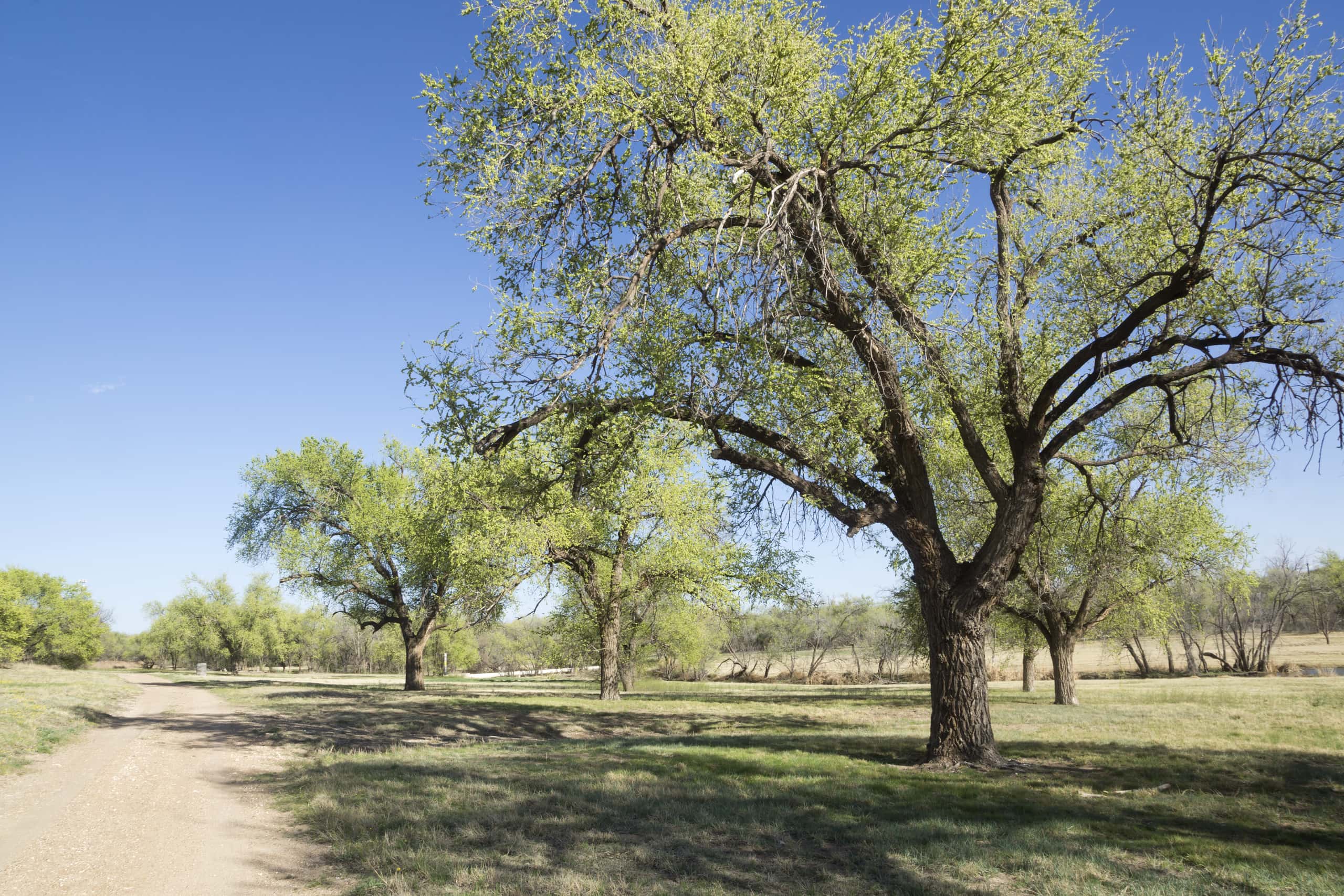 Vuelos baratos de Morelia a Lubbock a partir de 600 €