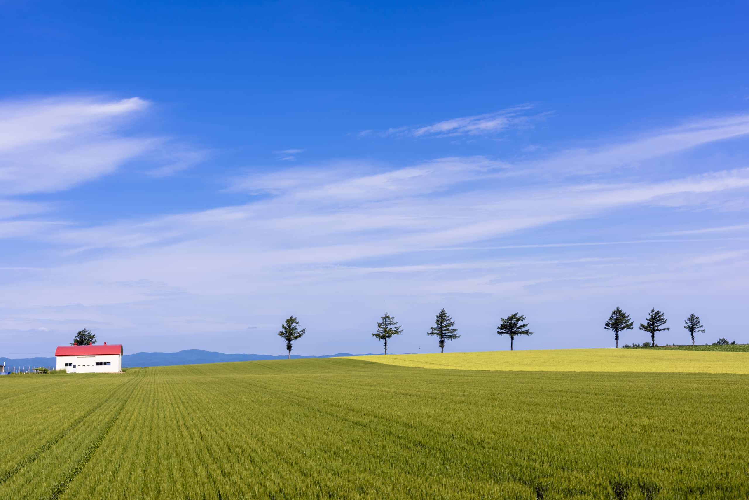 삿포로 출발 메만베쓰 도착 최저가 항공권 ¥19,493부터
