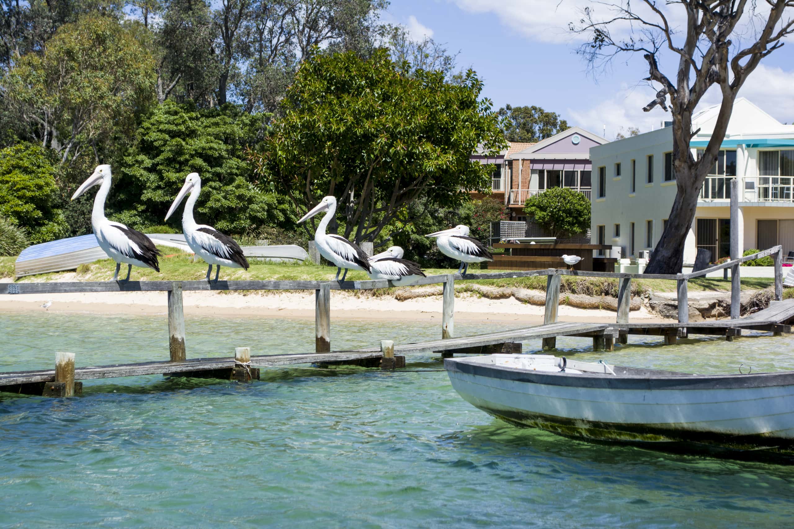 Cheap flights from Melbourne to Merimbula from CA$271