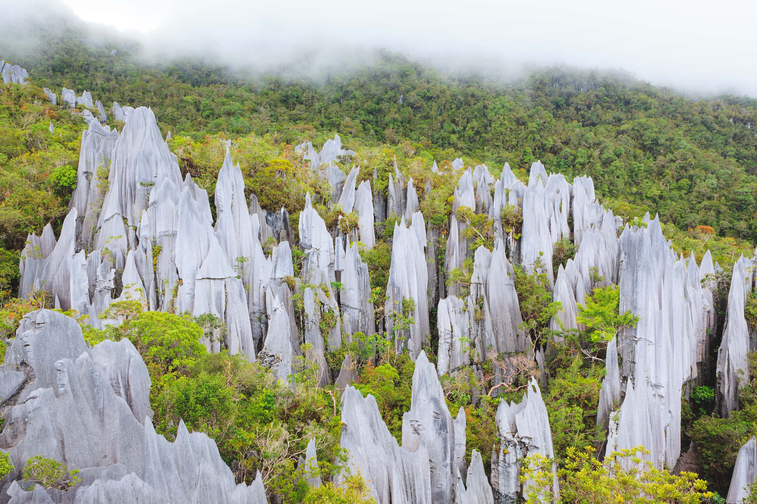 Cheap flights from Borneo to Gunung Mulu National Park from 