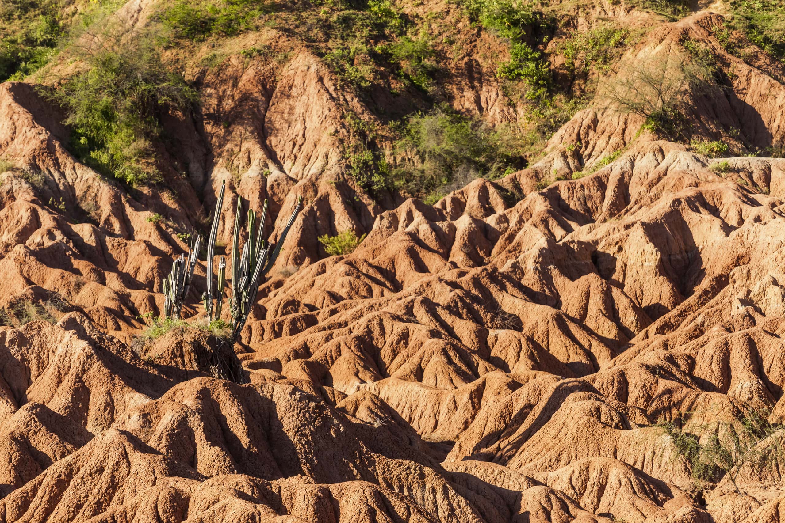 Vuelos baratos de Bogotá a Neiva, Huila a partir de 40 €