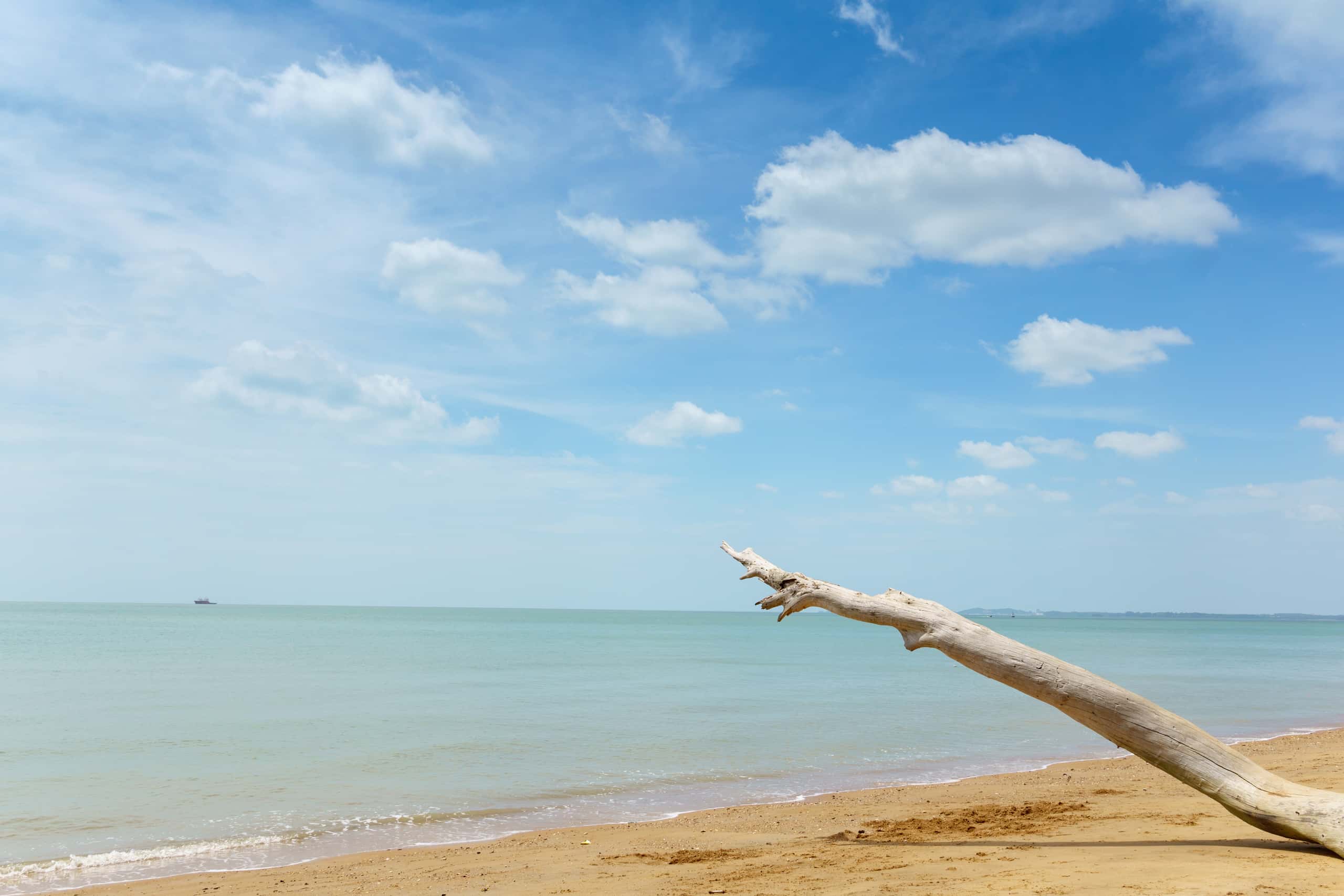 Vuelos baratos de Barcelona to Pangkalan Bun a partir de 361 €