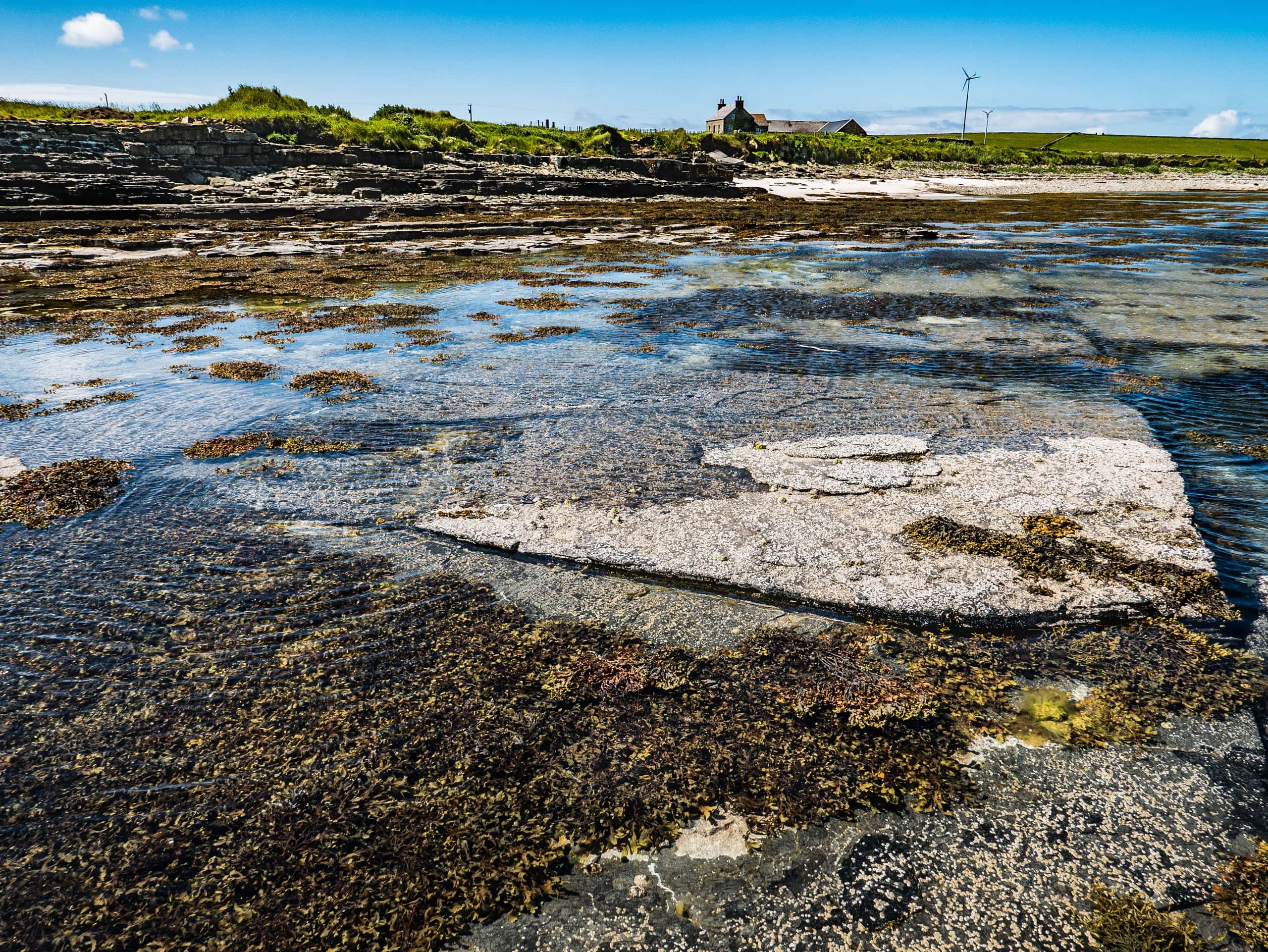 Cheap flights from Kirkwall to Papa Westray from £23