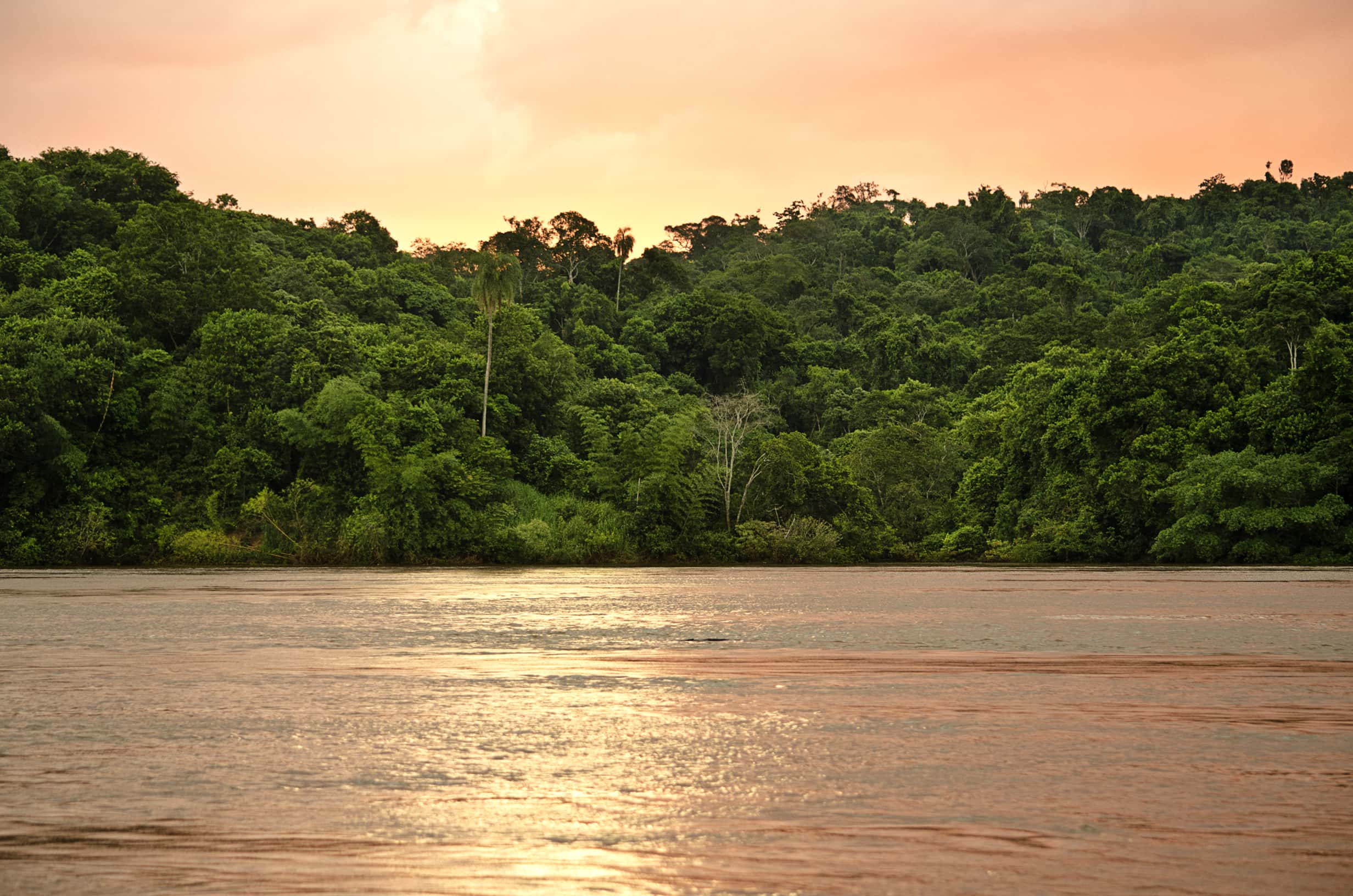 Vuelos baratos de Santiago de Chile a Paraná a partir de 94 €
