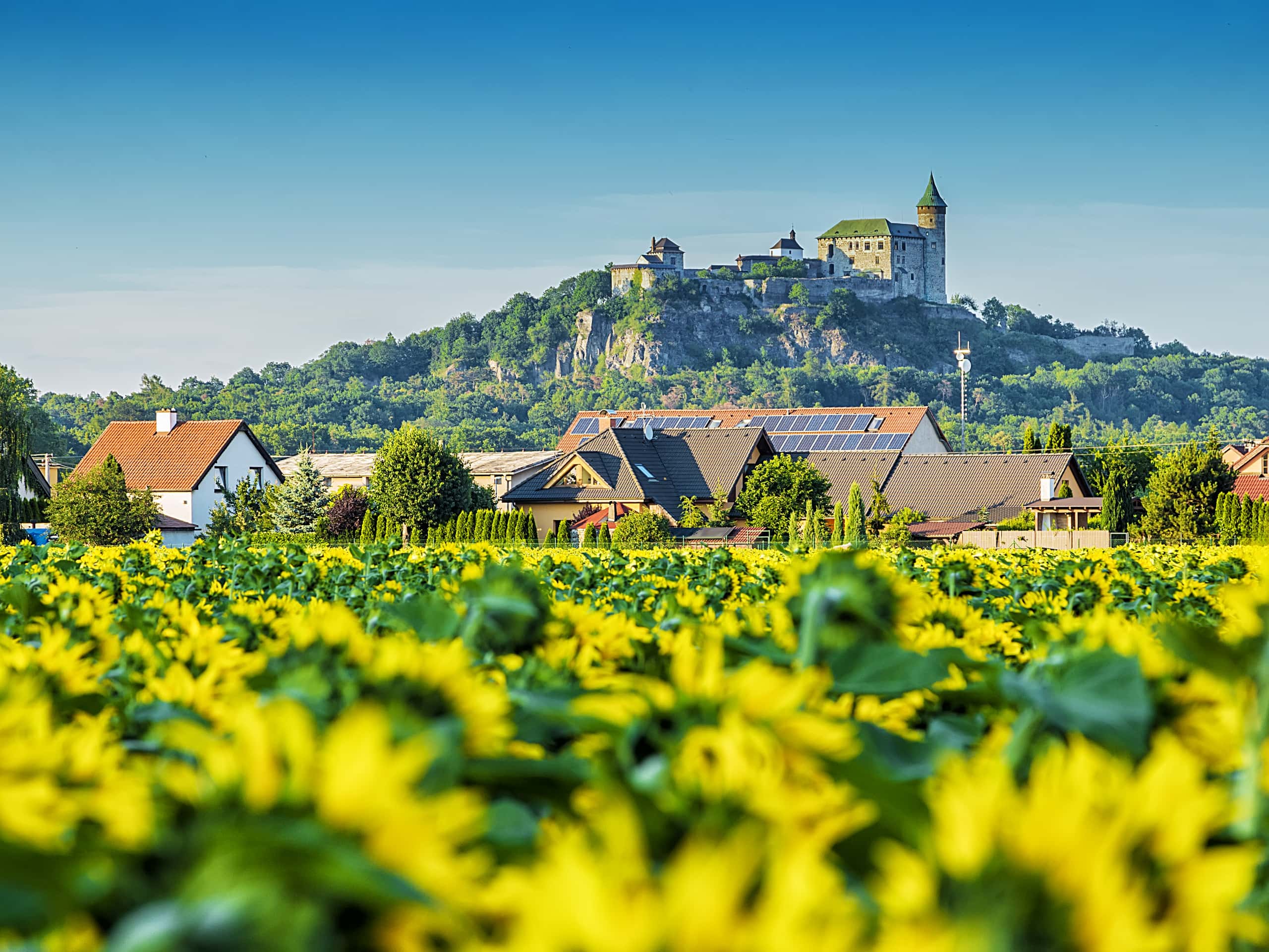 キーウ発パルドゥビツェ行きの格安チケットが¥31,153～