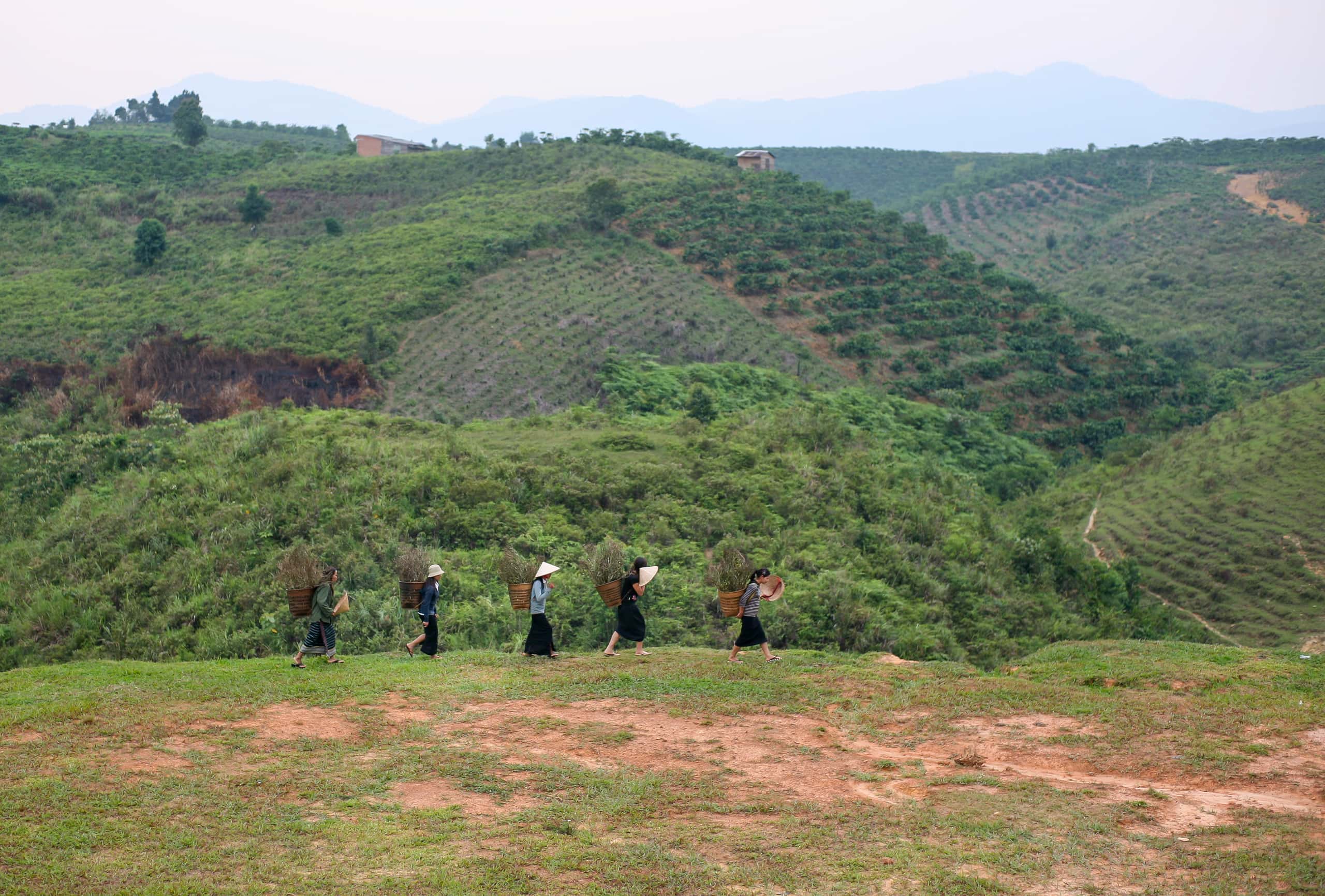 Cheap flights from Da Lat to Pleiku from $151