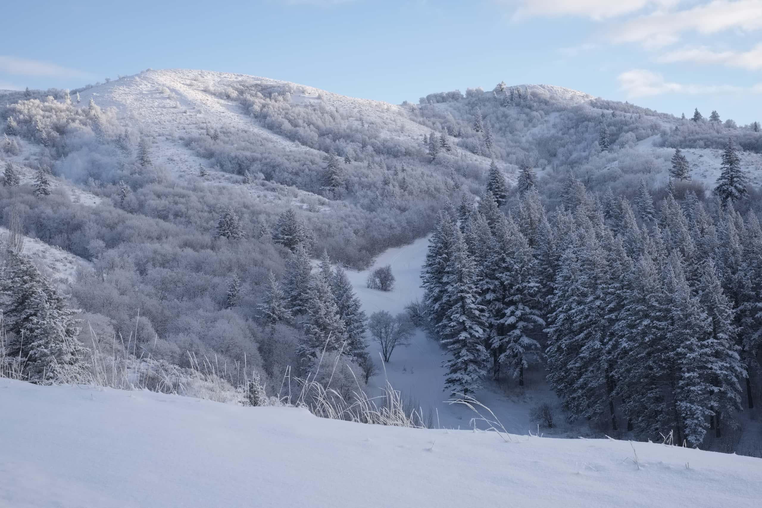 Cheap flights from Monterey to Pocatello from 