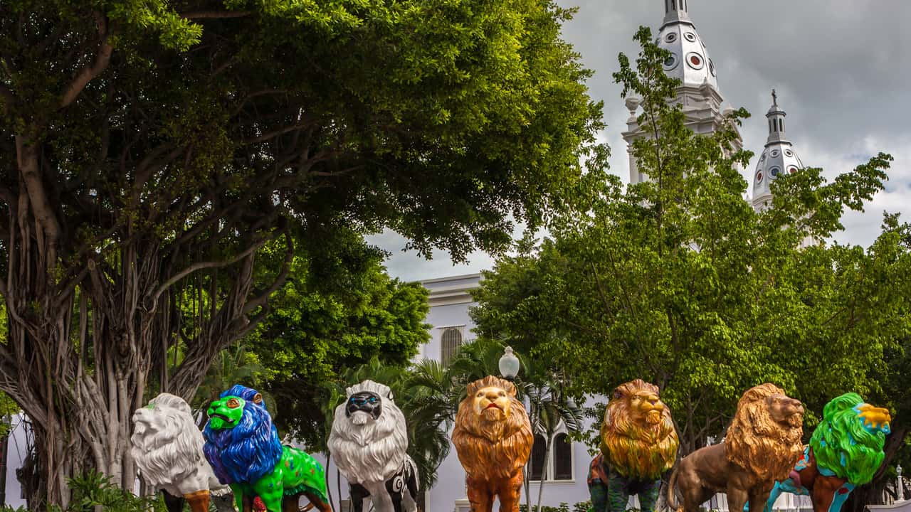 Vuelos baratos de Guadalajara a Ponce a partir de 221 €