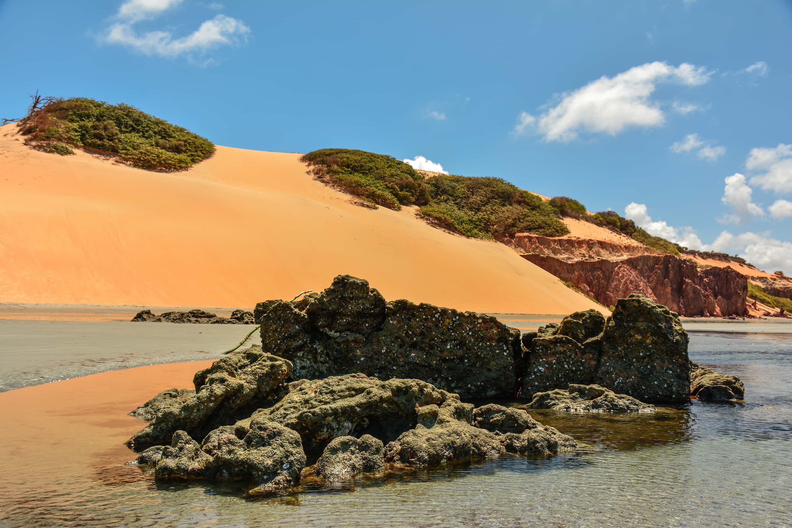 Goedkope vluchten van Goiânia naar Ponta Grossa vanaf 