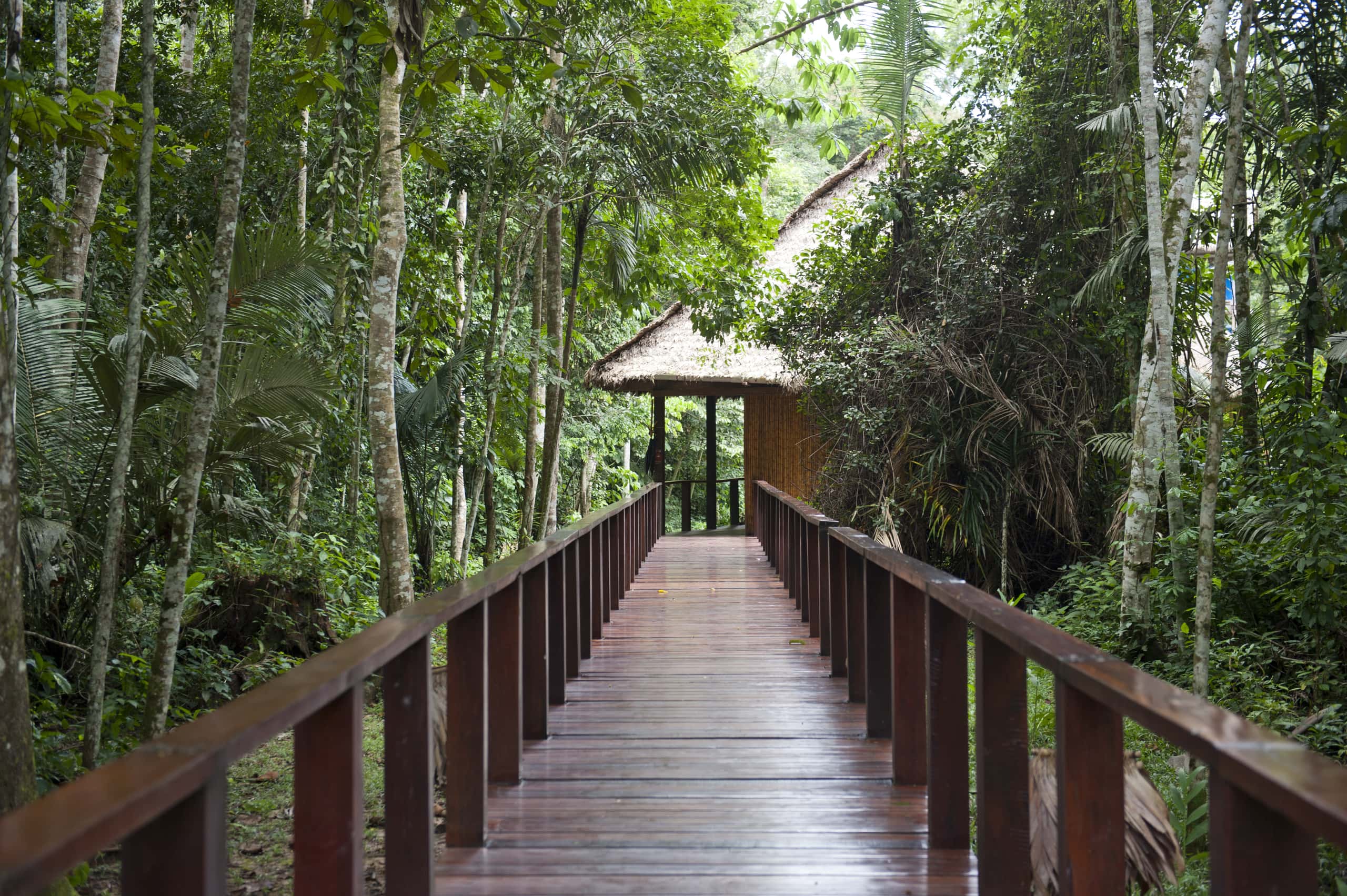 Vols pas chers depuis Cusco vers Puerto Maldonado à partir de 