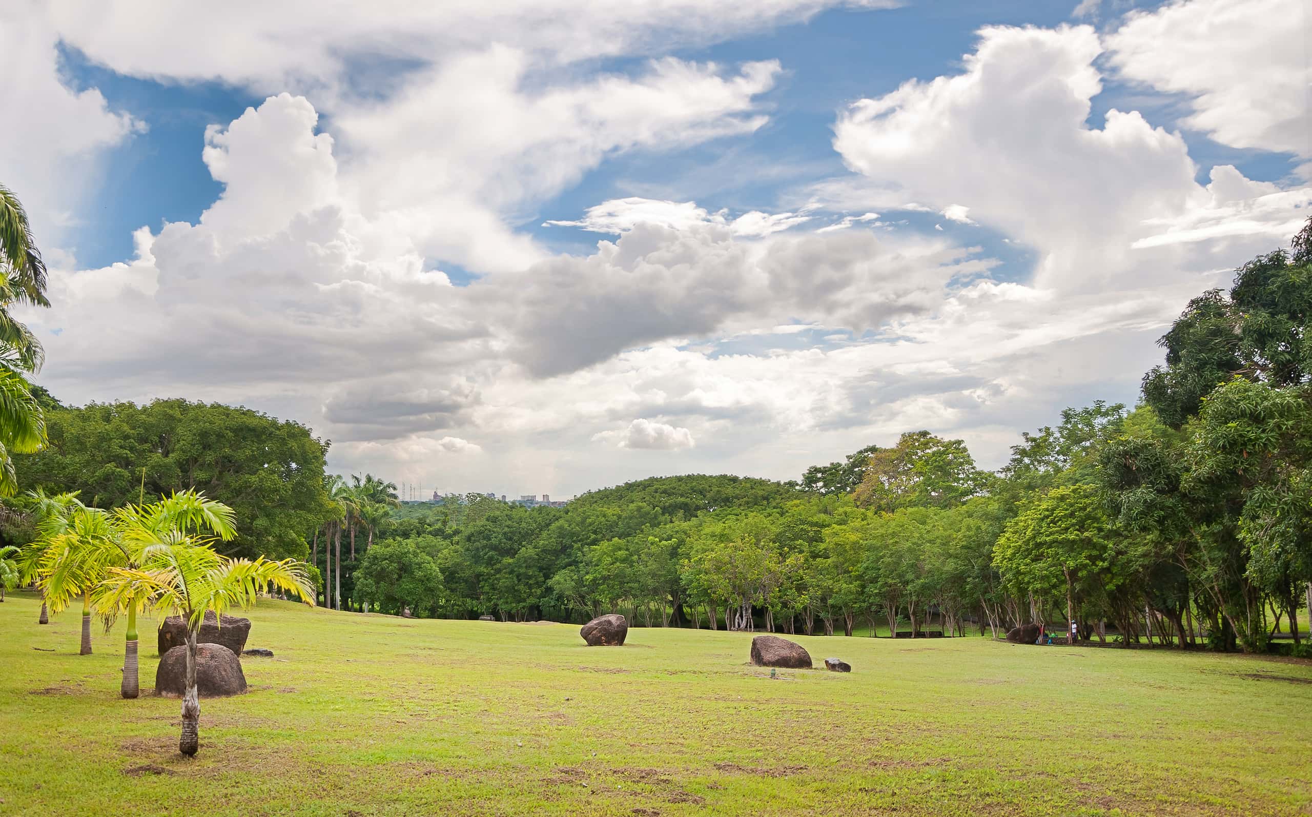 Vuelos baratos de Monterrey  a partir de 595 €