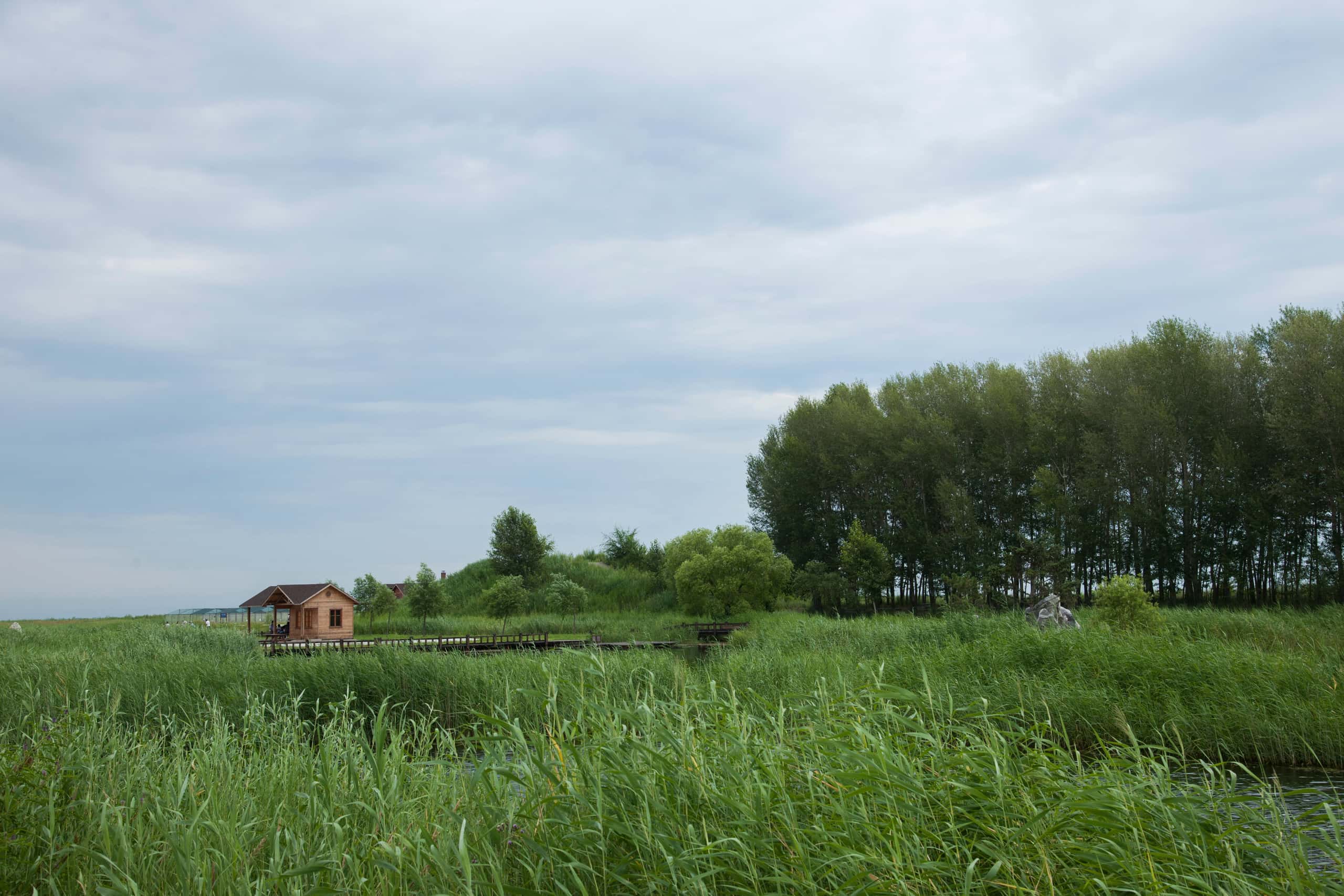 由从青岛前往到齐齐哈尔的低价航班仅需 ¥1,746 起
