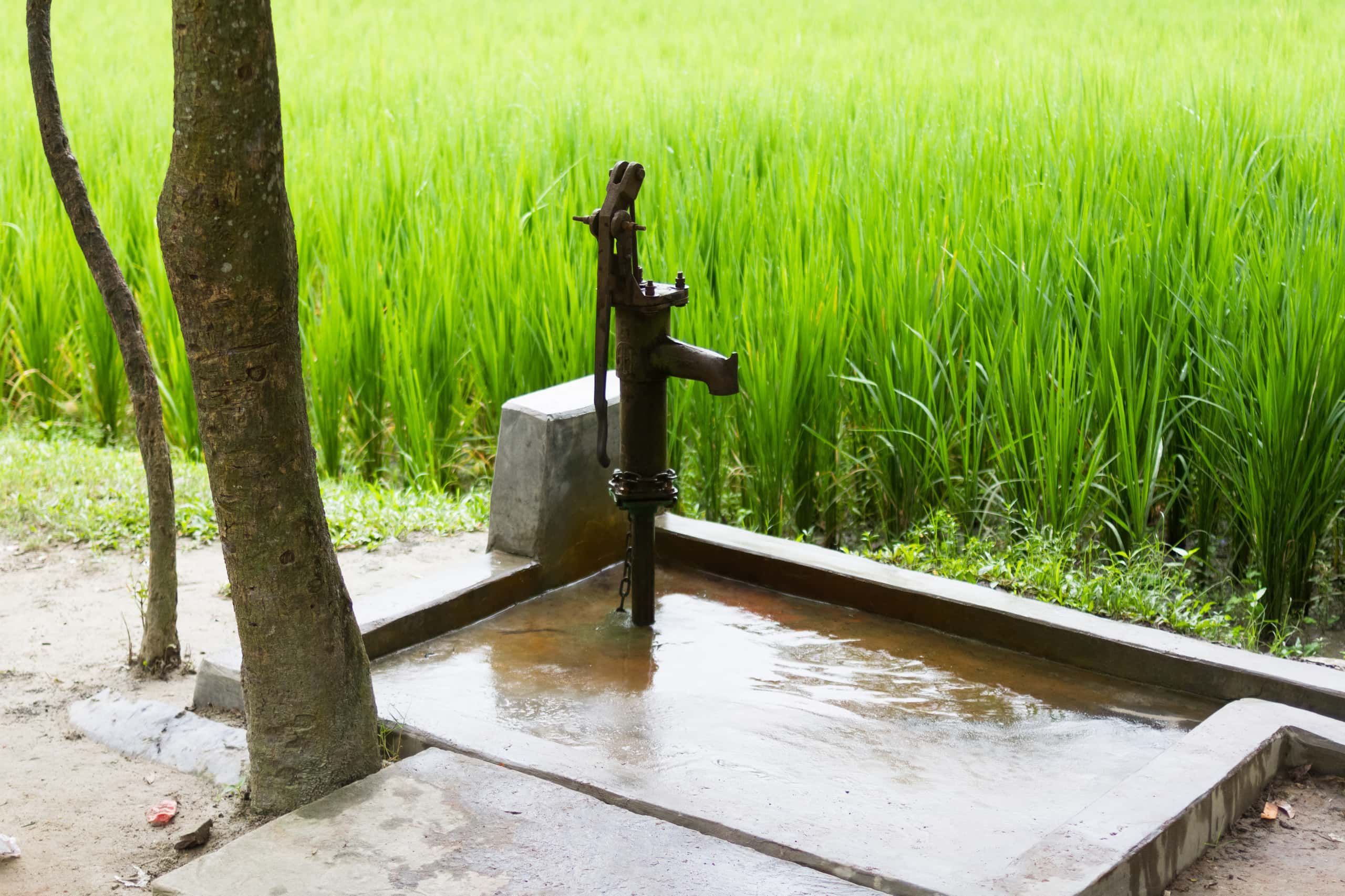 Günstige Flüge von Stuttgart nach Saidpur ab 252 €