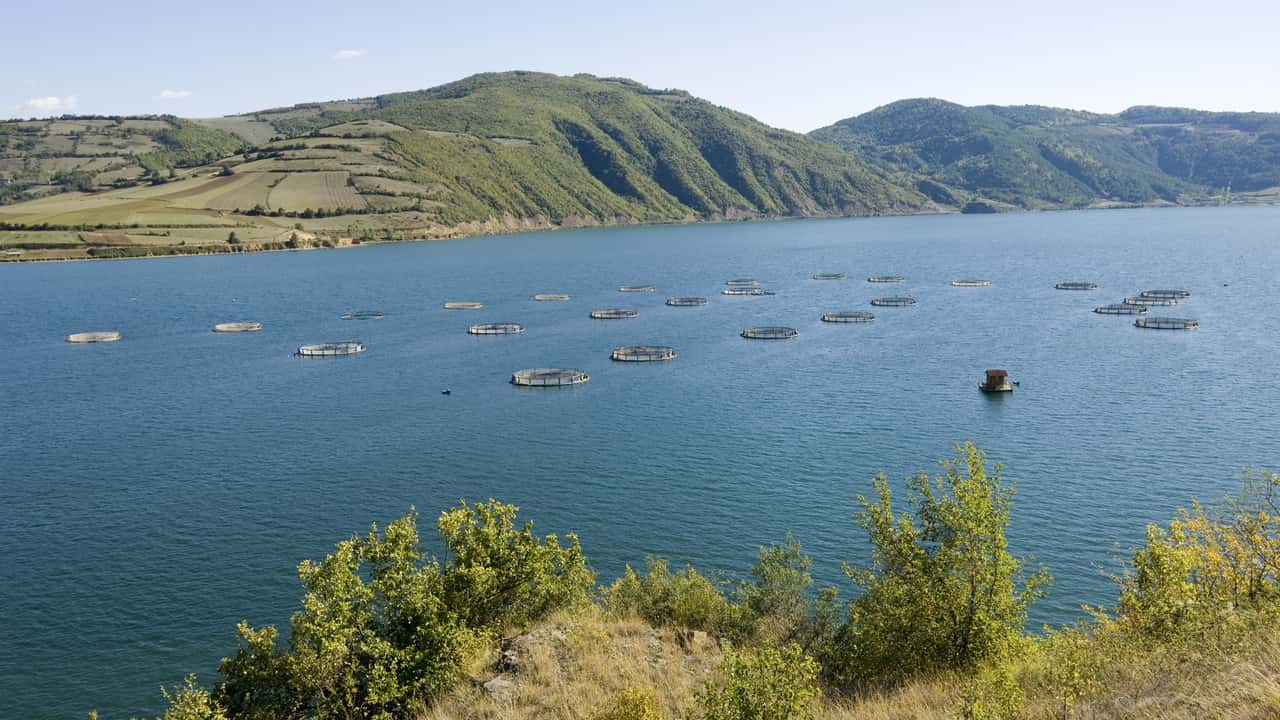 Cheap flights from Frankfurt to Samsun from CA$142