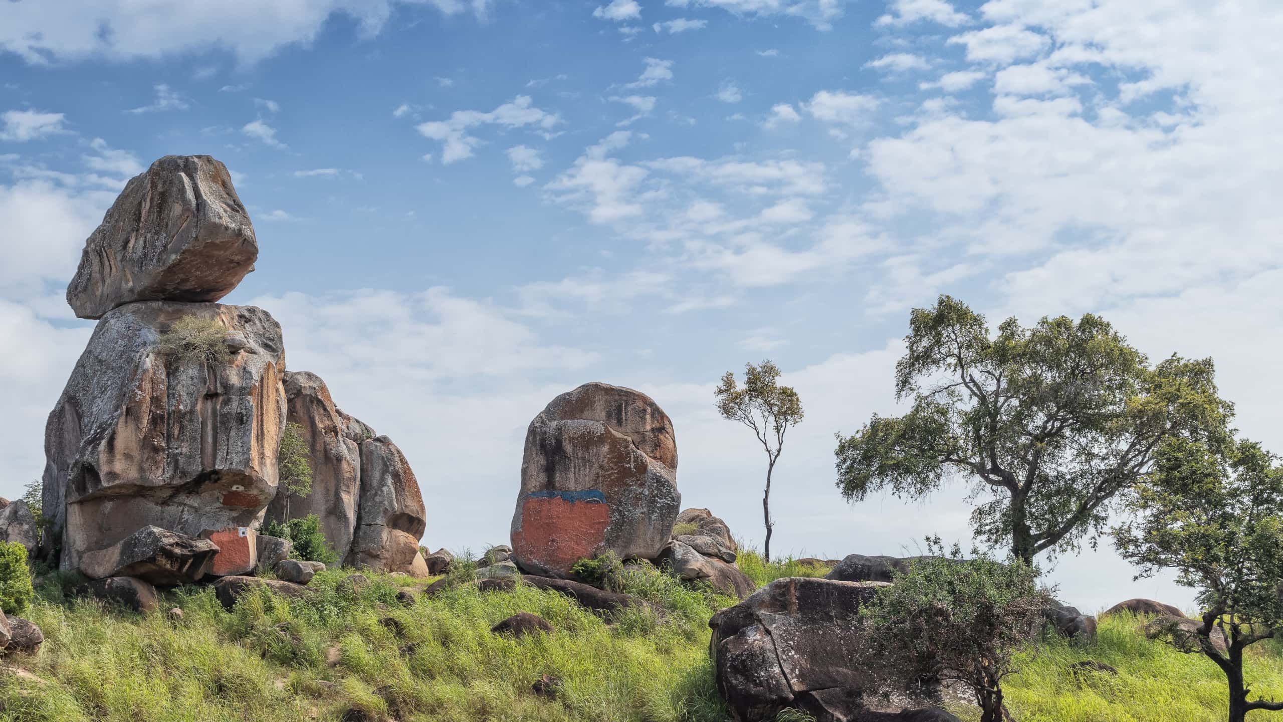 Cheap flights from Conakry  from 