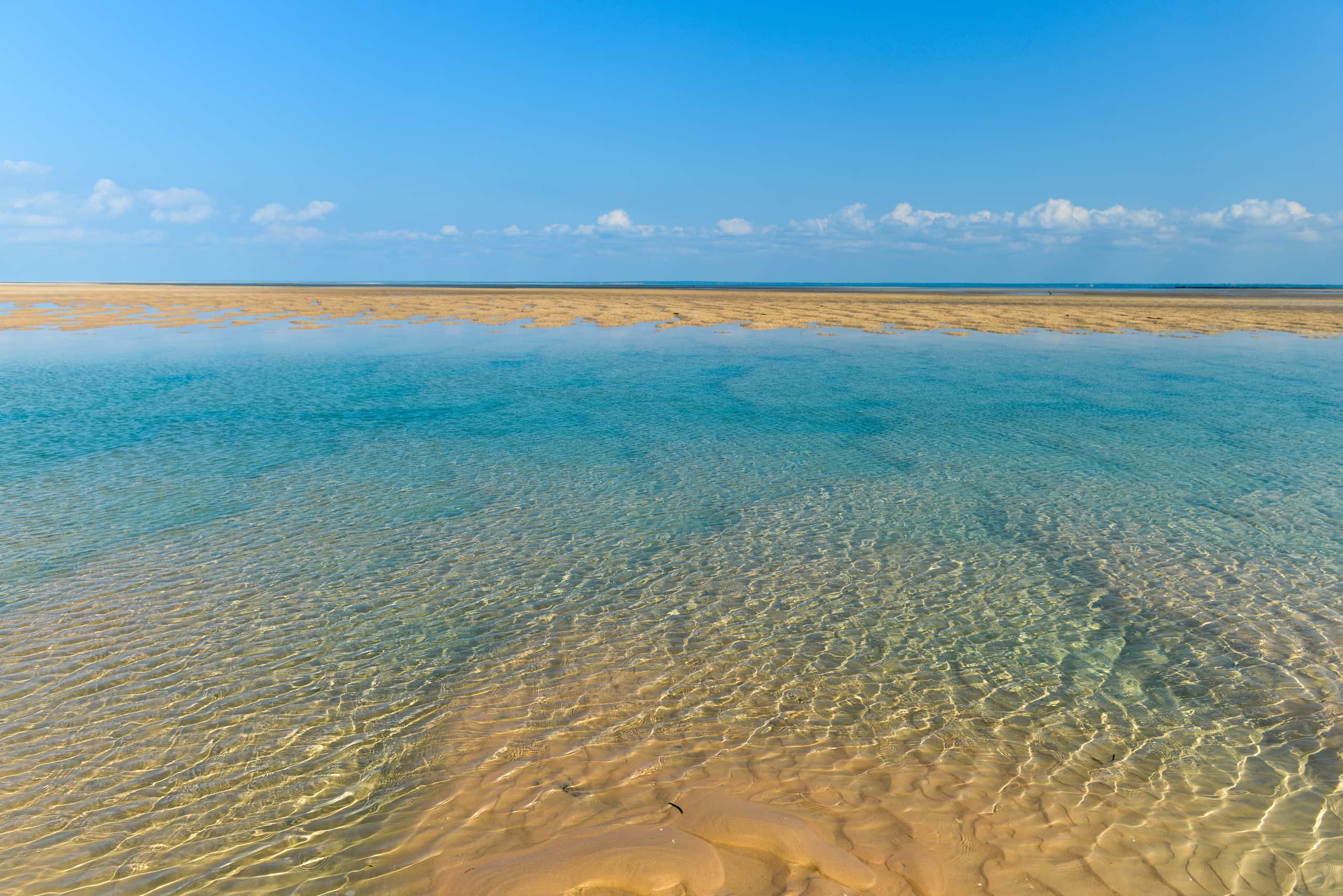 Cheap flights from Nakhon Si Thammarat Province  from 