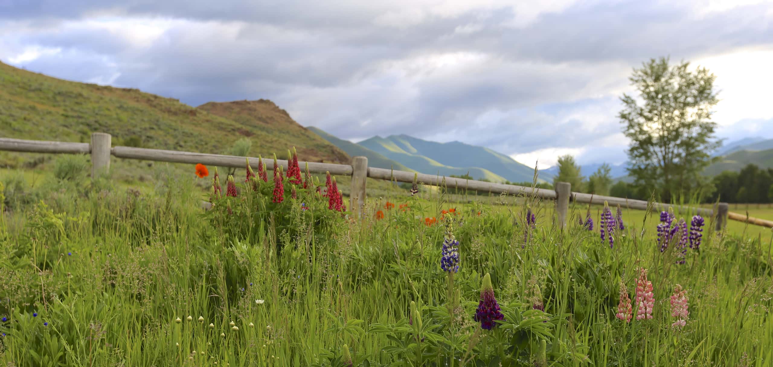 Cheap flights from Lyon to Sun Valley from £478