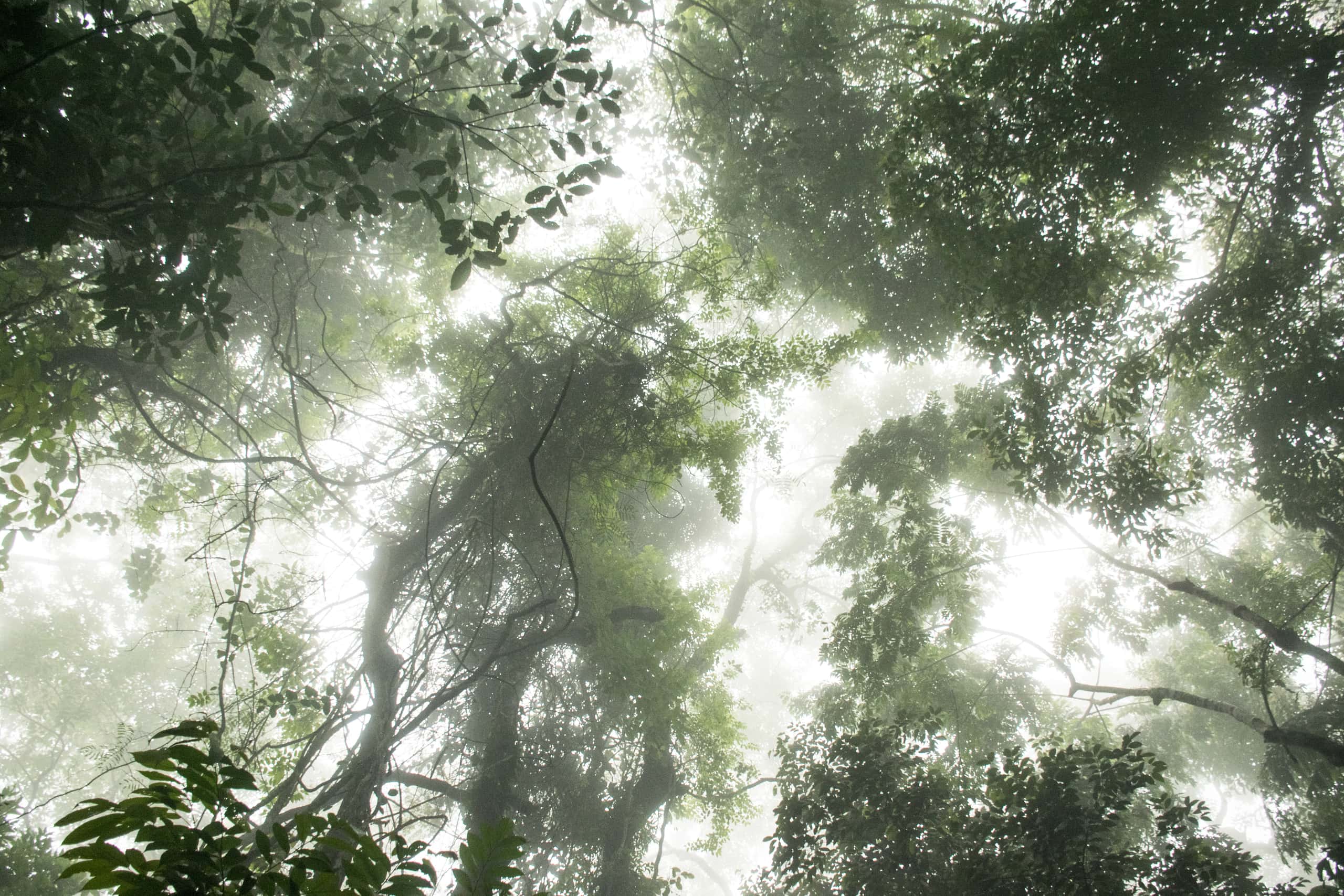 Chuyến bay giá rẻ từ Allahabad  từ $621