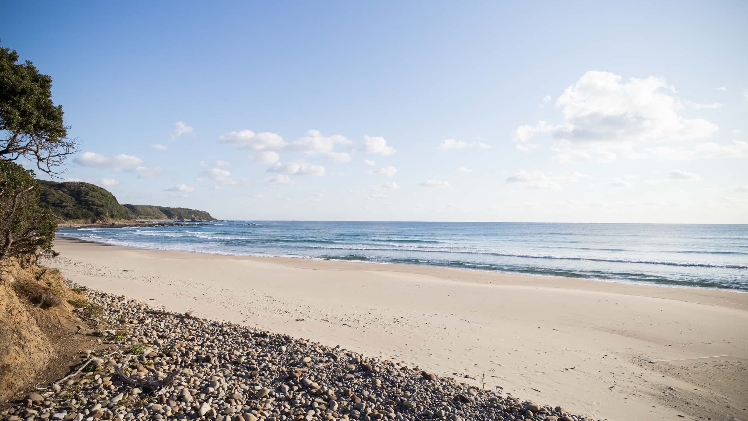 本州発種子島行きの格安チケットが¥32,611～