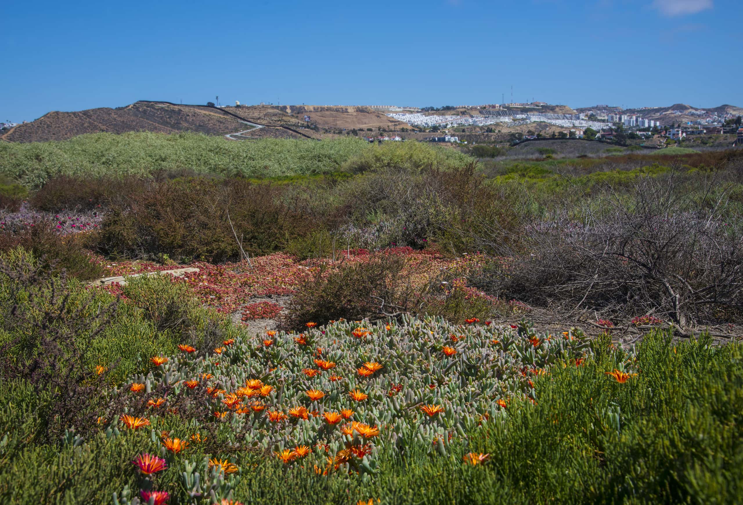 Vuelos baratos de Ciudad de México a Tijuana a partir de 40 €