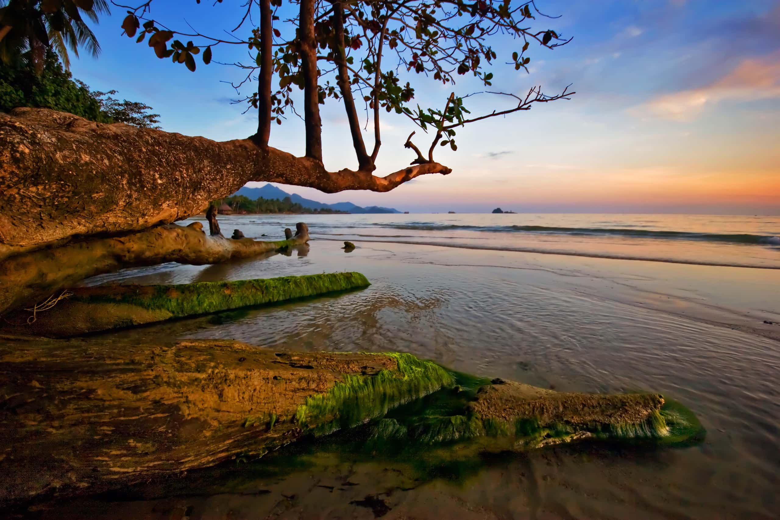 Günstige Flüge von Berlin in die Provinz Trat ab 388 €