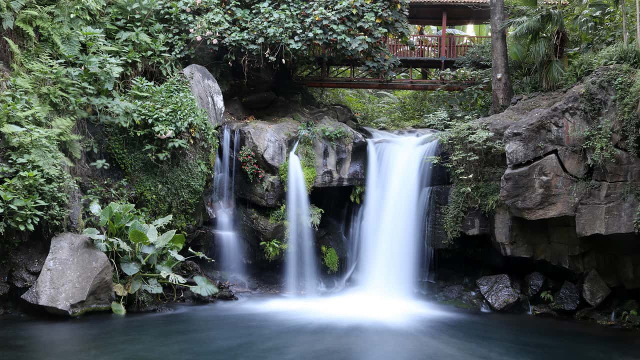 Vuelos baratos de Tijuana a Uruapan a partir de 