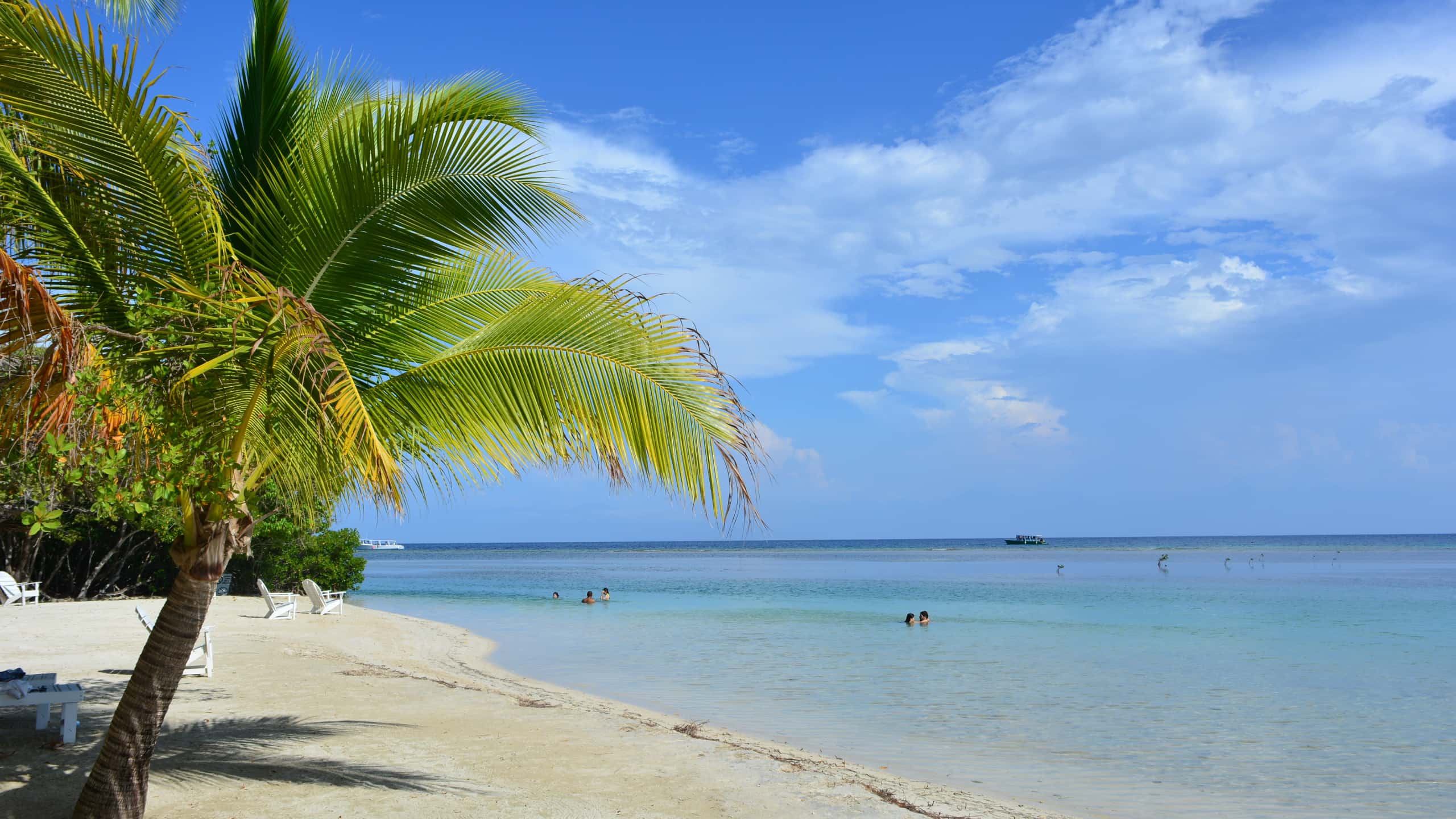 Vols pas chers depuis Toronto to Útila à partir de 
